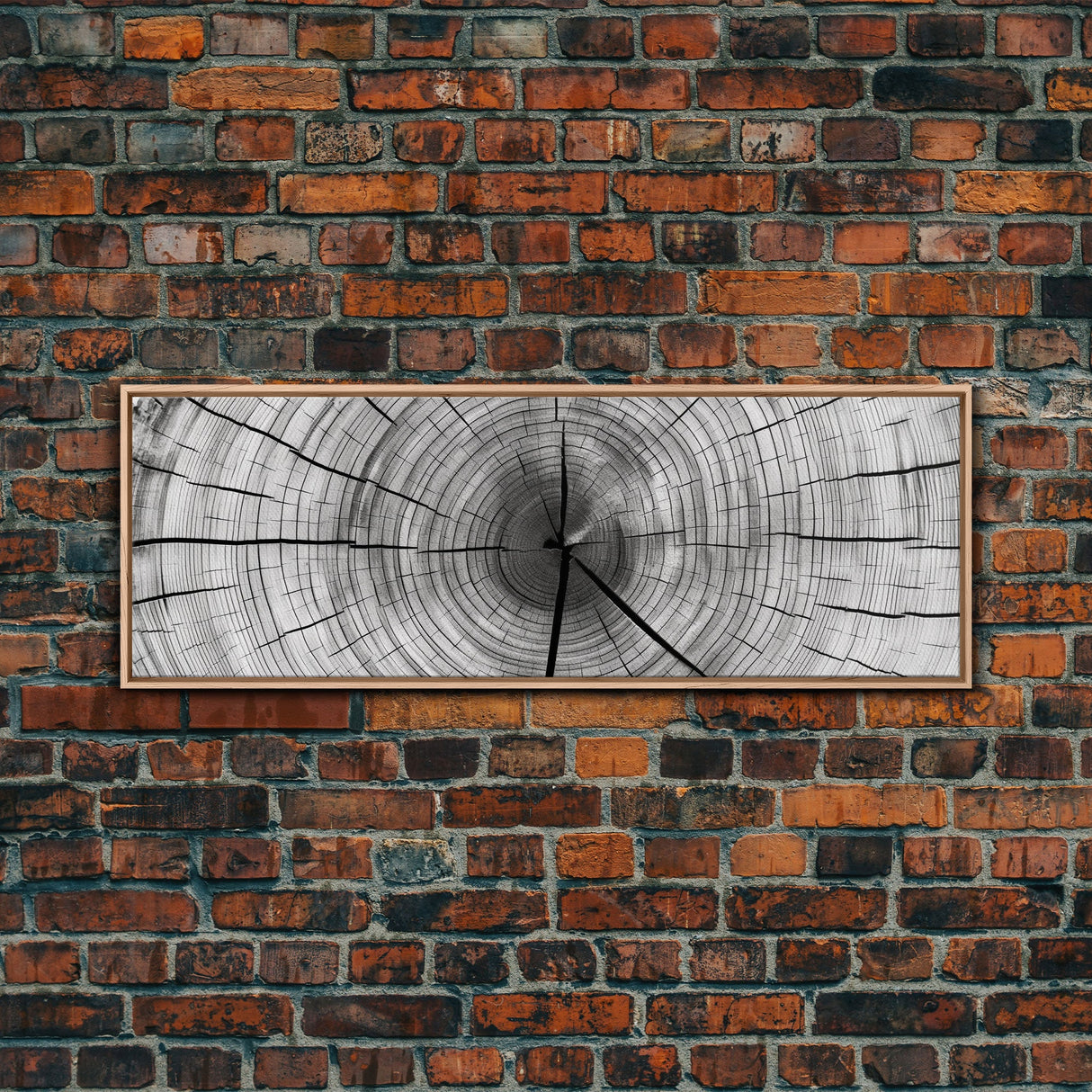 Tree Ring Print, Tree Ring Art, Framed Canvas Print Wall Art, Trree Rings, Tree Stump Print, Tree Rings Wall Art, Tree Of Life