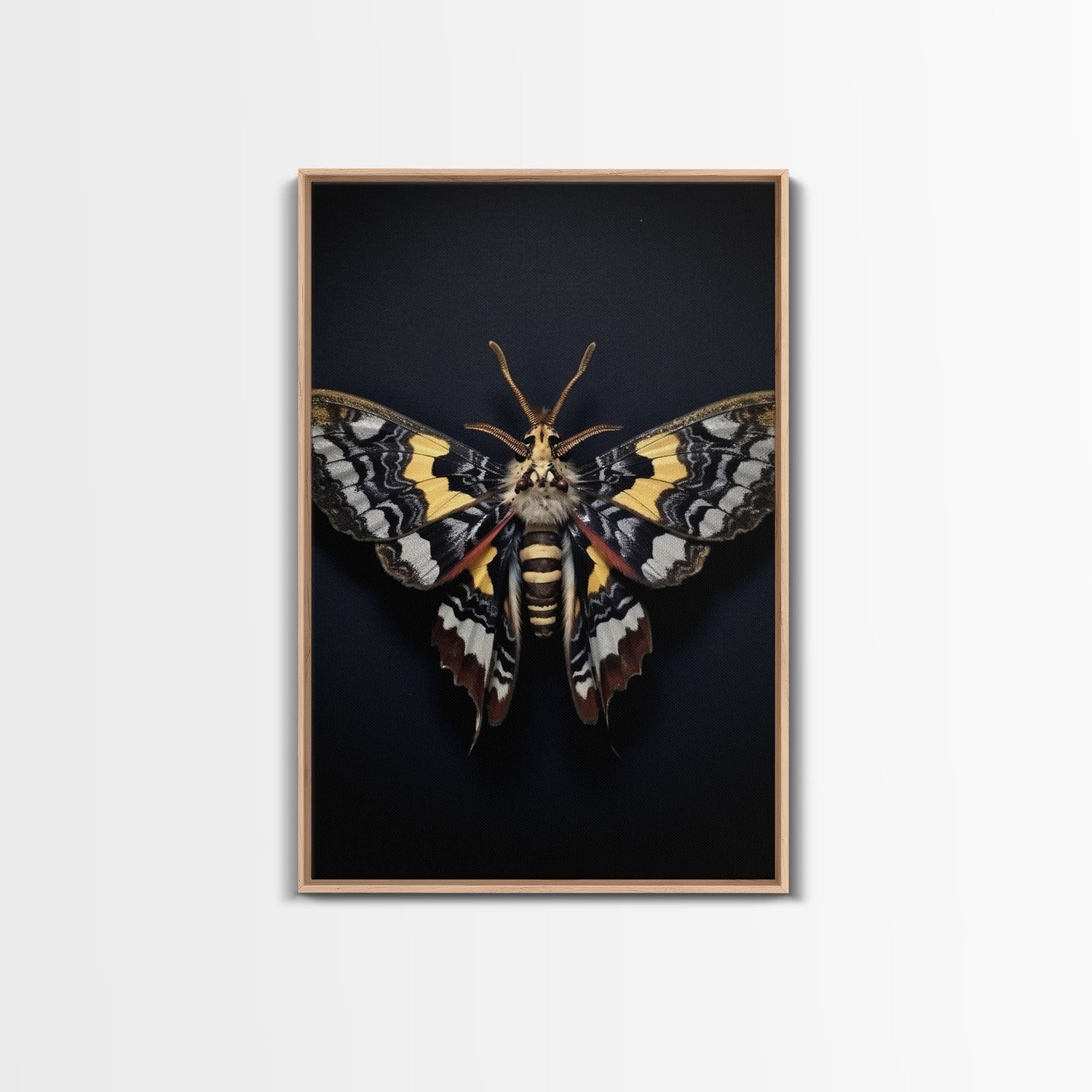 Framed Death Head Moth Canvas Print, Acherontia, Taxidermy Art, Dried Butterfly Print, Bug Wall Art Hanging Decor, Goth Art, Halloween Art