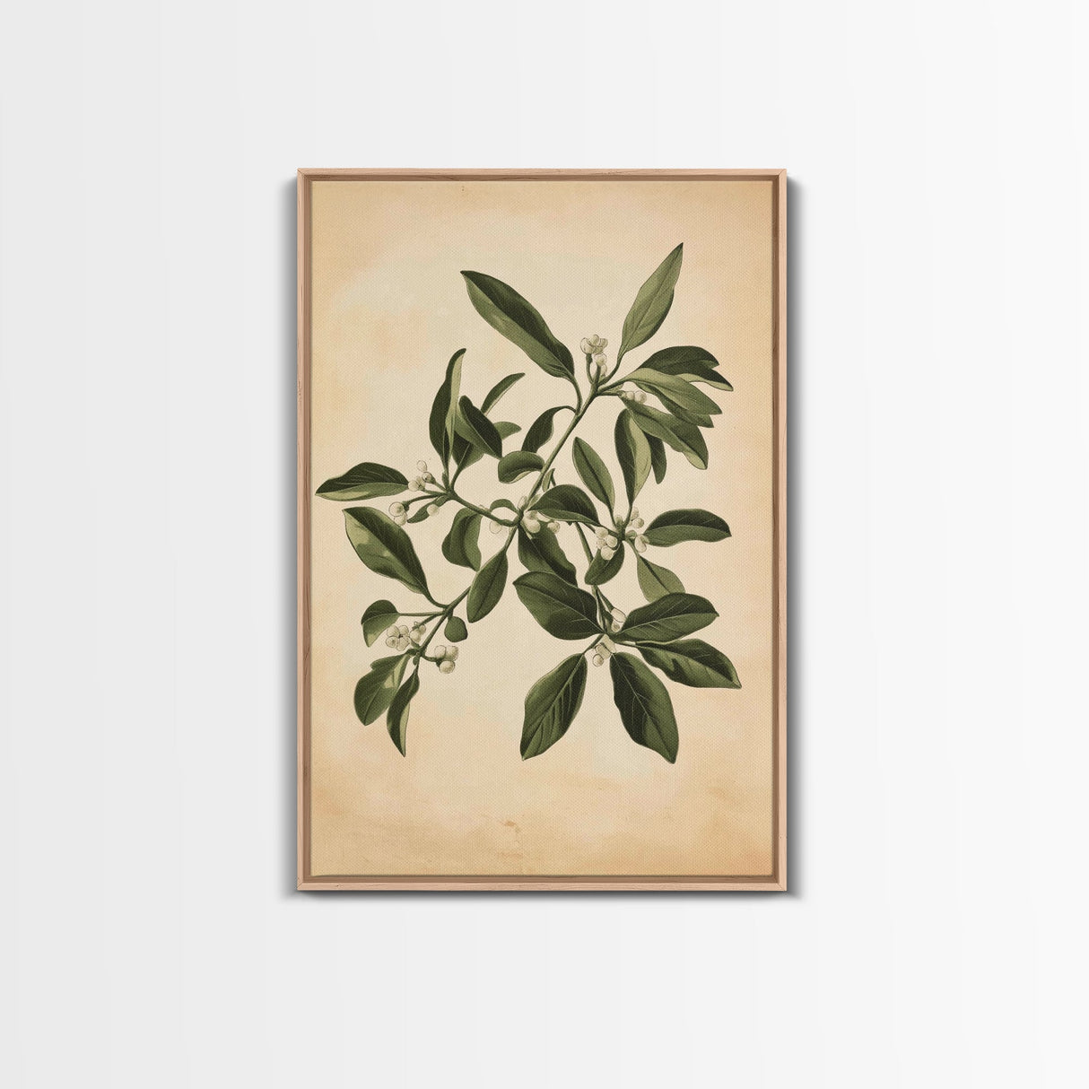 Mistletoe Canvas Print - Framed Canvas - Minimalist Christmas Art - Boho Christmas Art - Rustic Christmas Art