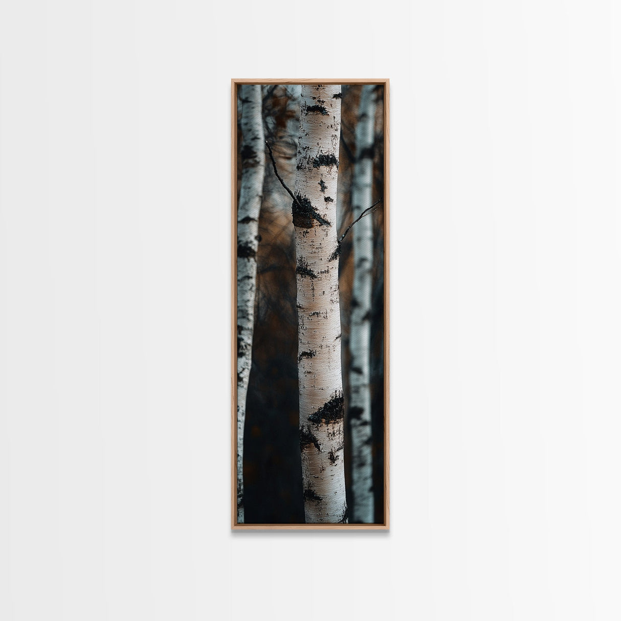 Birch Tree Forest Framed Canvas Print Rustic Wabi Sabi Woodland Art Minimalist Bedroom or Living Room Fall Wall Art Decor