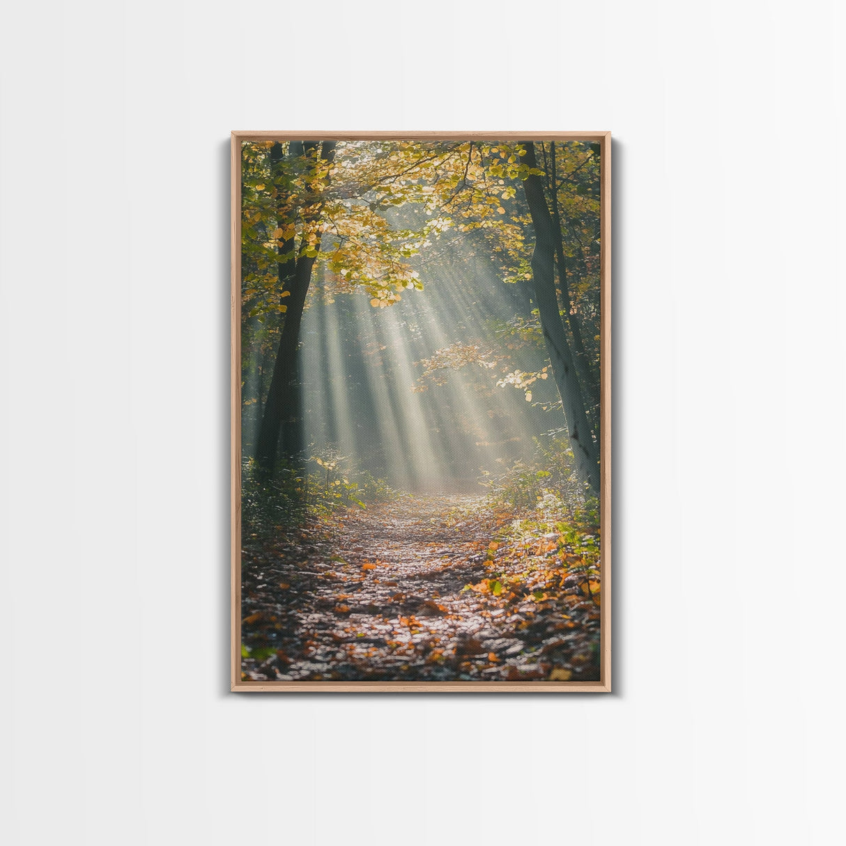 Sunlit Autumn Forest Path Canvas Print, Fall Wall Art, Nature Photography Print, Cozy Home Decor, Rustic Living Room Art, Cabin Wall Art