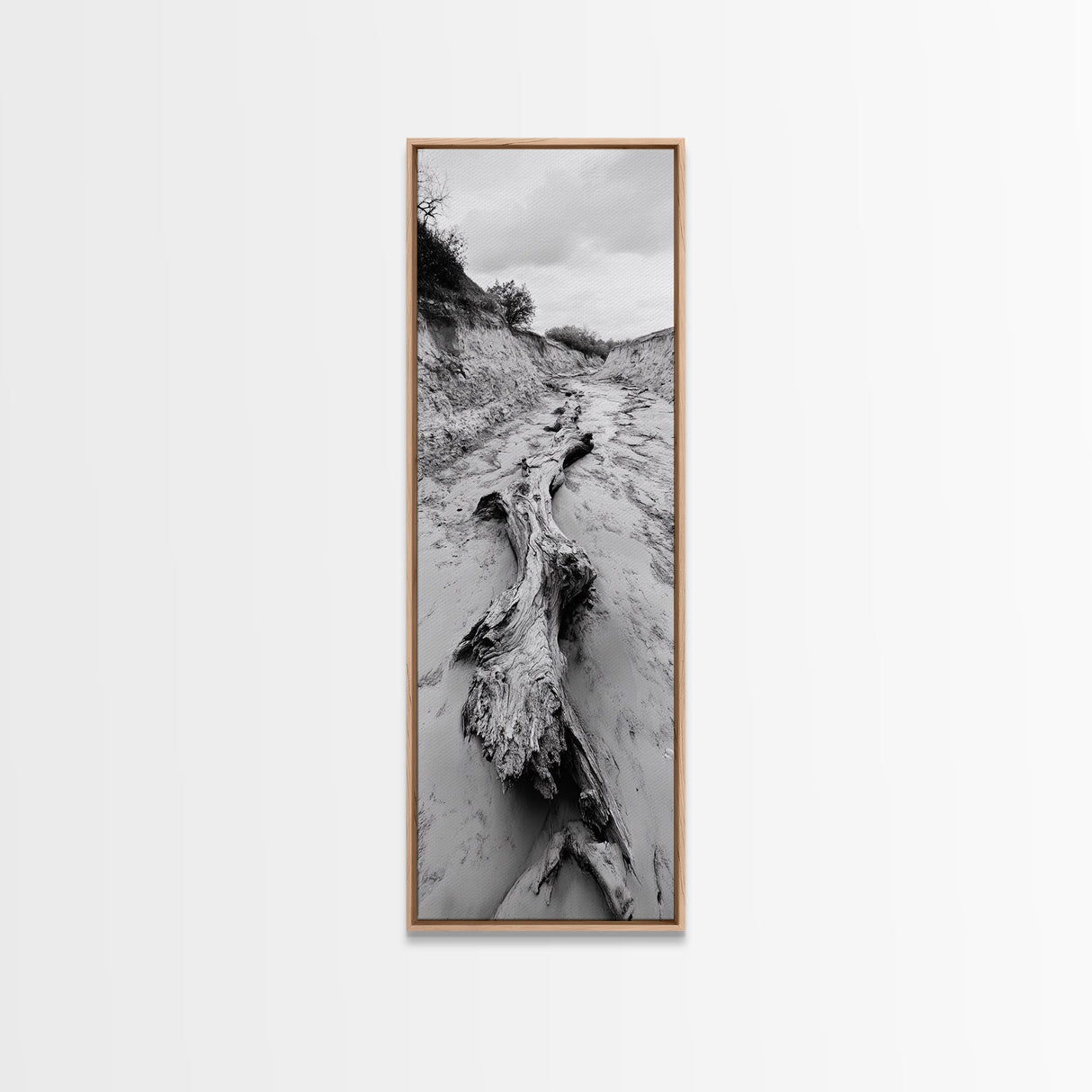 Driftwood, Nature Path, Earthy Decor, Rustic Home Style, Framed Canvas Print, Living Room Wall Art, Natural Landscape Photography