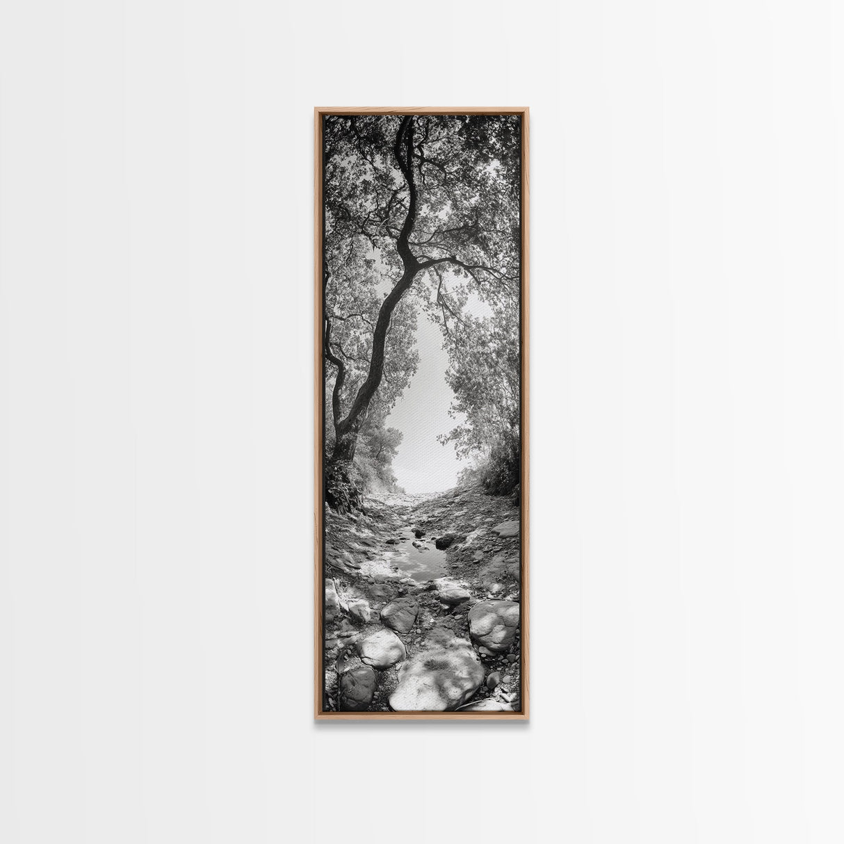 Forest Path, Rock Creek, Canopy Light, Calm Nature Scene, Canvas Print, Entryway Wall Art, Tranquil Minimalist Landscape Print