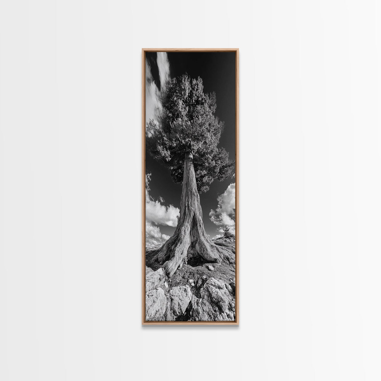 Majestic Tree, Nature Power, Earth Energy, Black White Art, Framed Canvas Print, Modern Rustic Decor, Cabin Wall Art, Tree Lover Gift