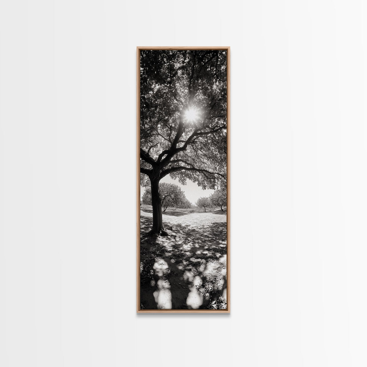 Sunlight Tree, Autumn Glow, Nature Shadowplay, Black White Forest Scene, Canvas Print, Fall Living Room Art, Boho Earthy Wall Decor