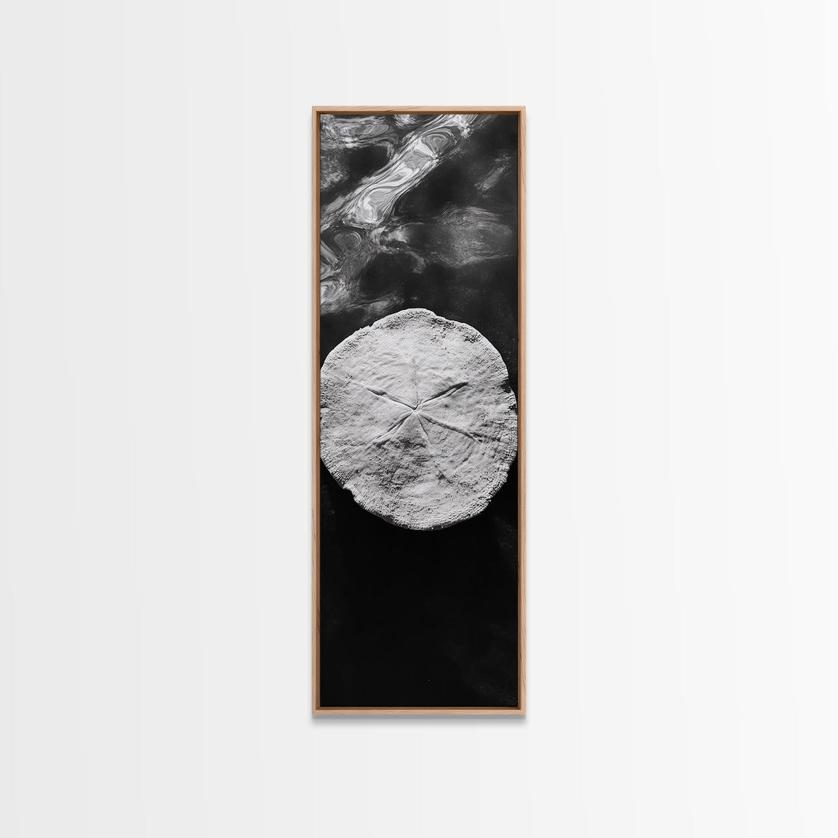 Sand Dollar Print, Minimalist Beach Decor, Sea Shell Wall Art, Coastal Bathroom or Nursery Style, Framed Canvas Print, Ocean Texture