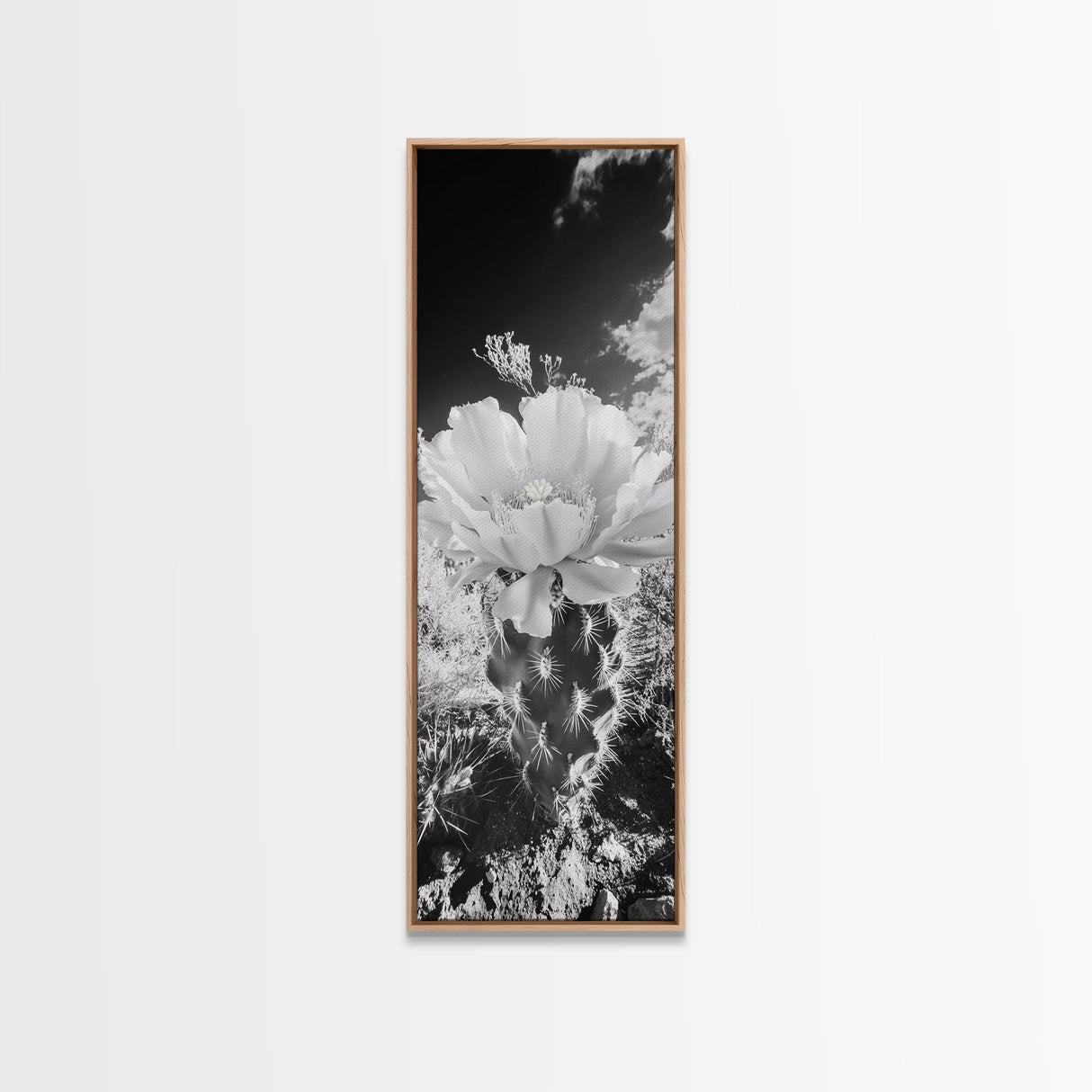 Desert Bloom Cactus, Southwest Art, Nature Floral Print, Cactus Photography, Framed Canvas Print, Kitchen Wall Art, Boho Wall Decor