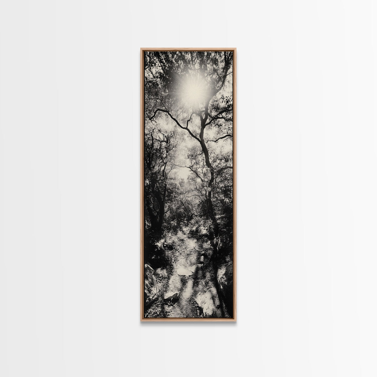 Forest Path, Sunburst Trees, Woodland Trail, Nature Light Framed Canvas Print, Boho Entryway Wall Art, Autumn Rustic Home Decor