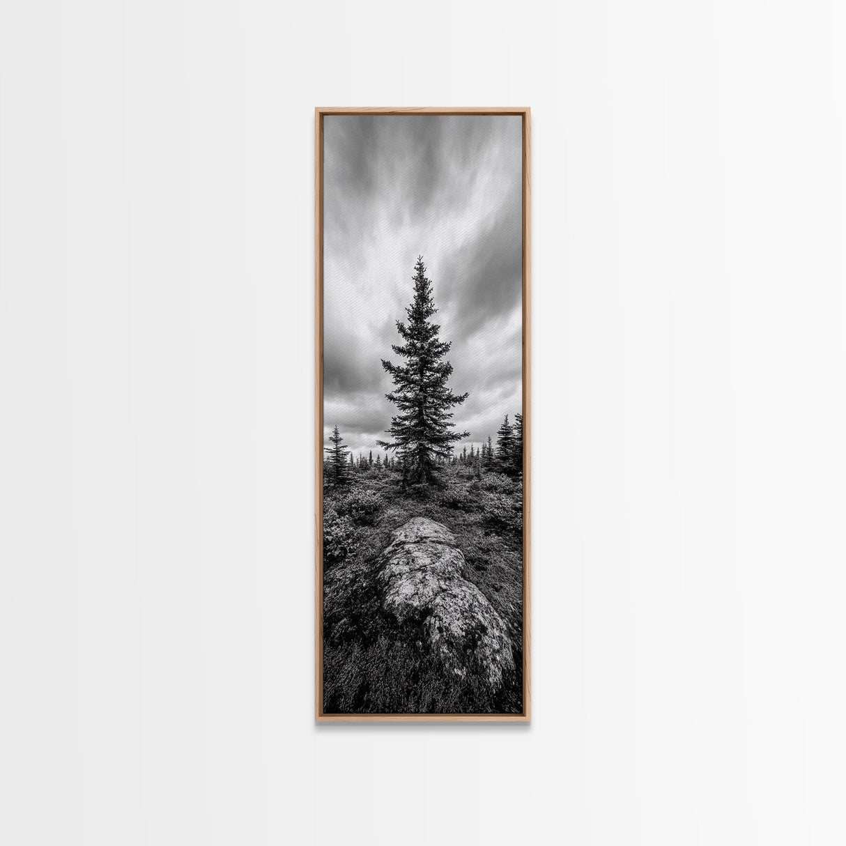 Lone Pine Tree, Forest Mood, Wilderness Art, Framed Canvas Print, Minimalist Wall Decor, Cabin Art, Neutral Fall Tones, Nature Lover Gift