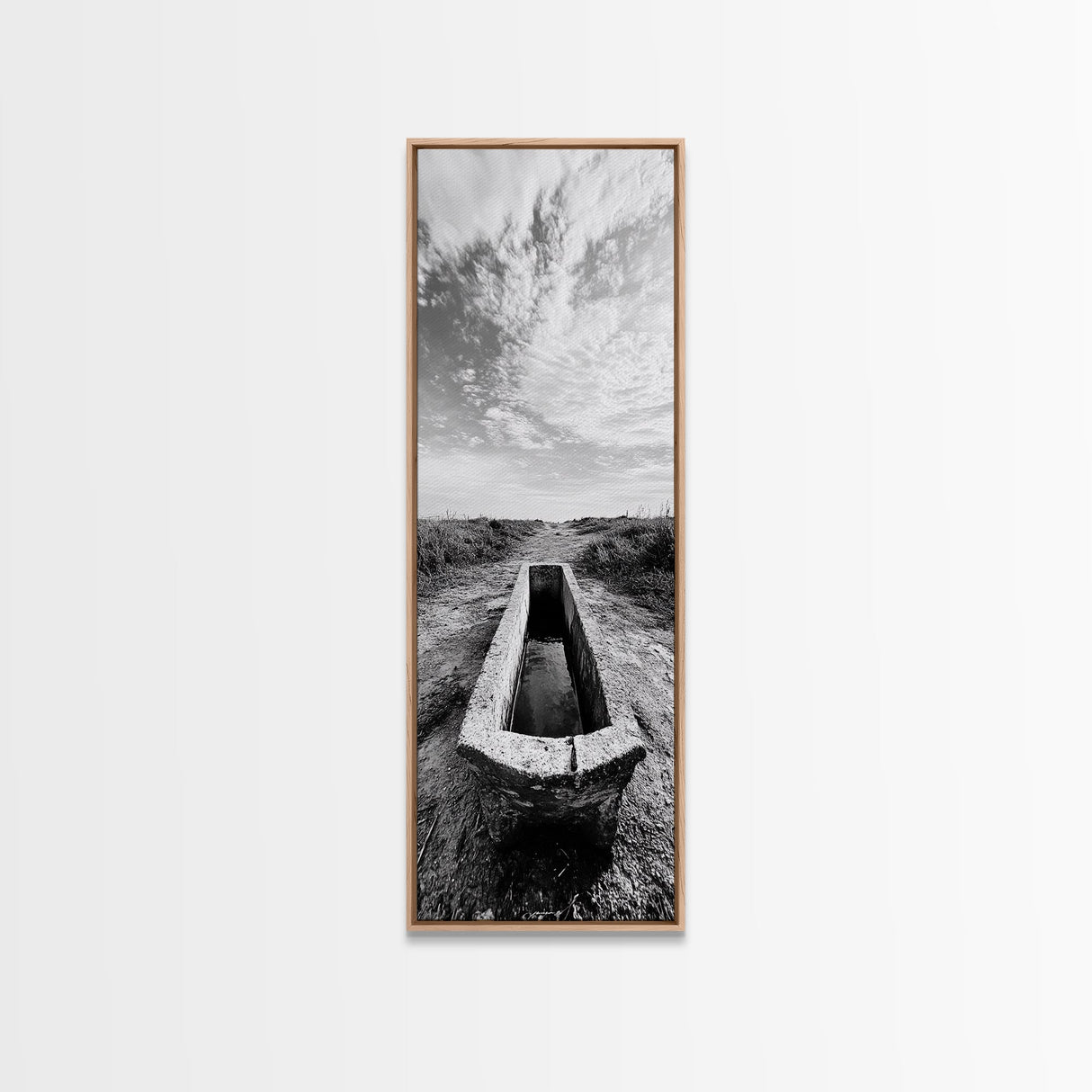 Rustic Trough Scene, Country Minimalist Art, Weathered Landscape Print, Nature Photography, Farmhouse Kitchen Decor, Framed Canvas Print