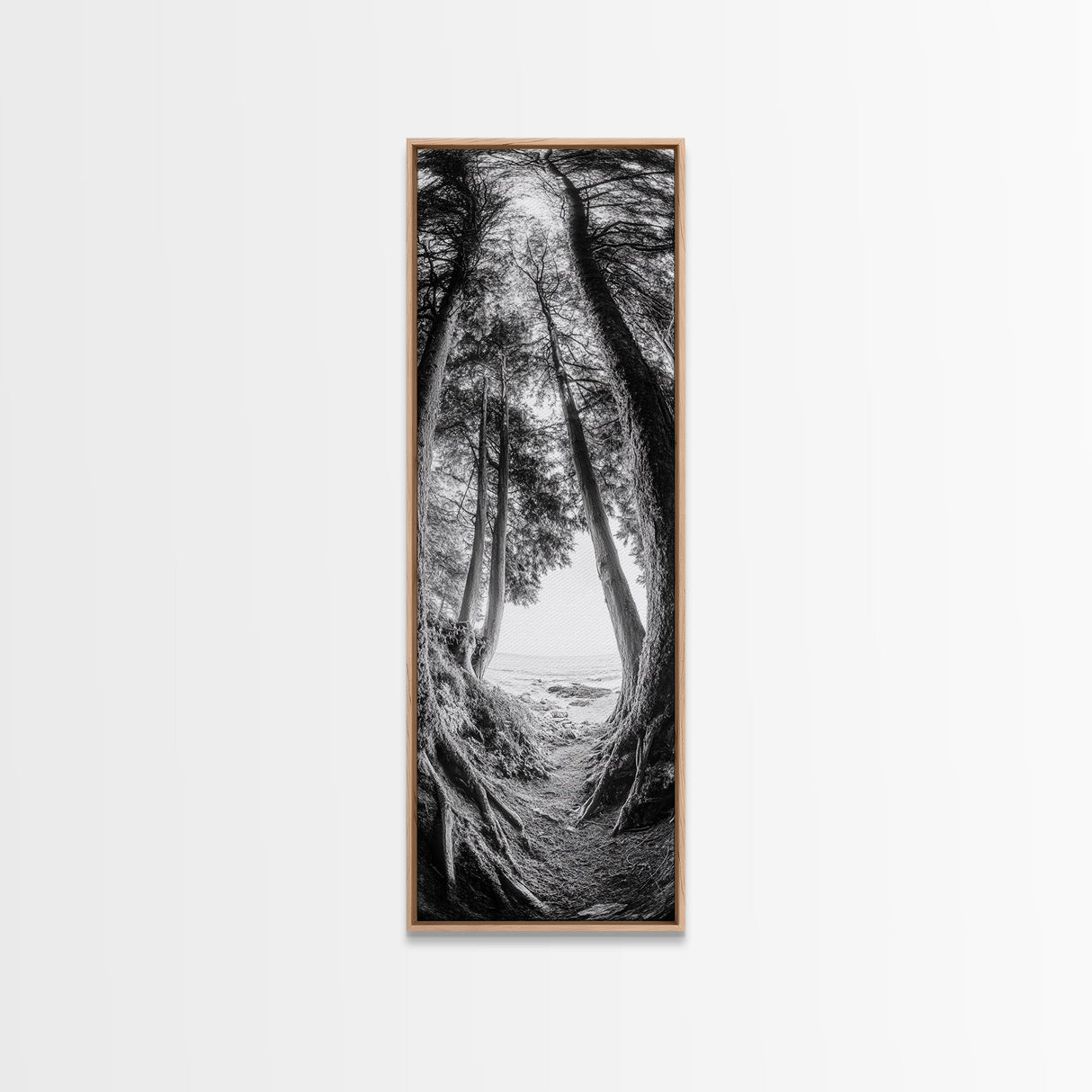 Forest Path, Ocean View, Tall Trees, Canvas Print, Black and White Nature Art, Entryway Wall Art, Rustic Woodland Aesthetic, Bedroom Wall Art