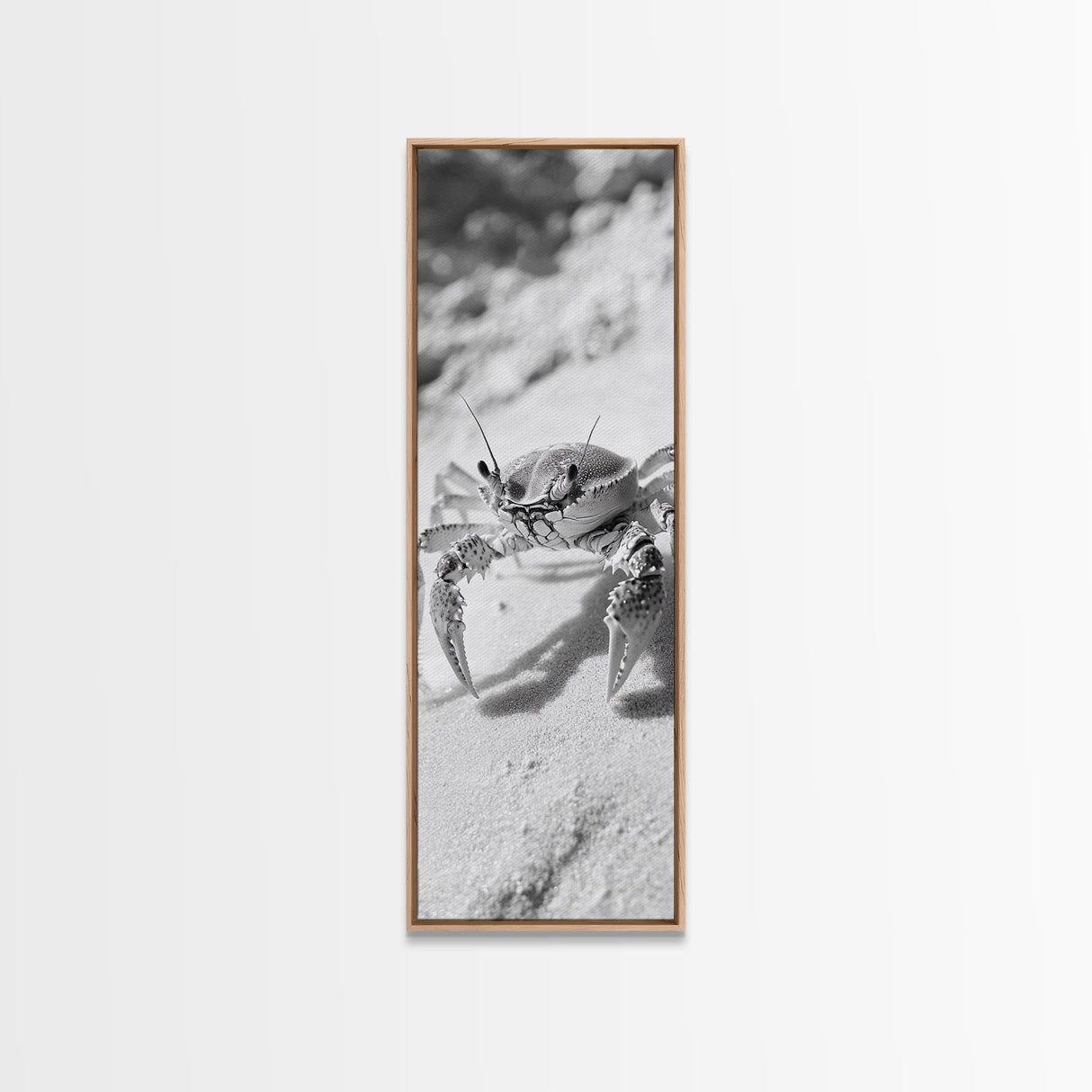 Sand Crab, Coastal Vibes, Beach Creature, Desert Aesthetic, Monochrome Wall Art, Canvas Print, Boho Bathroom Decor, Ocean Life Artwork