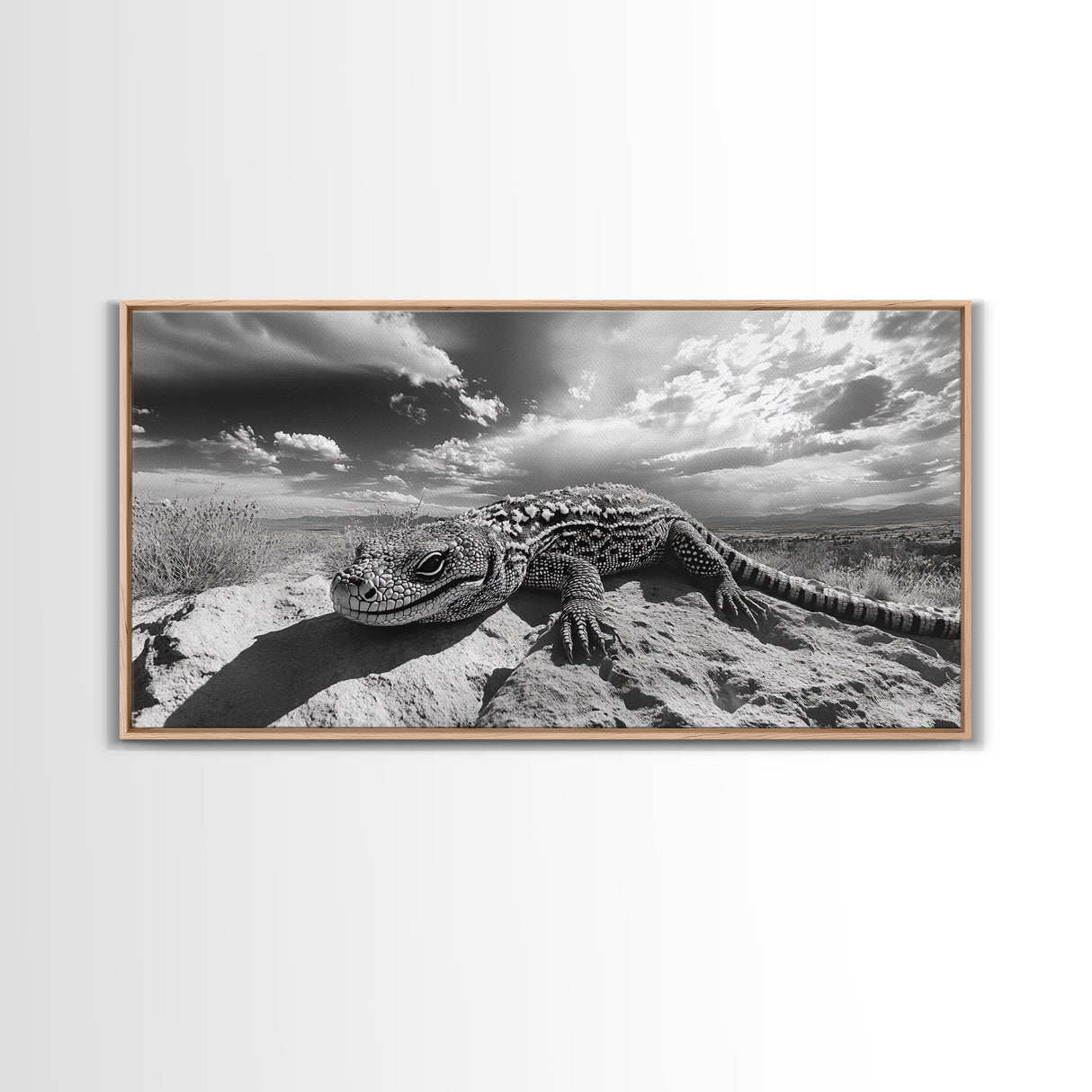 Desert Lizard Close-Up, Reptile Wildlife Photography, Dramatic Sky Scene, Canvas Print, Living Room Wall Art, Nature Decor