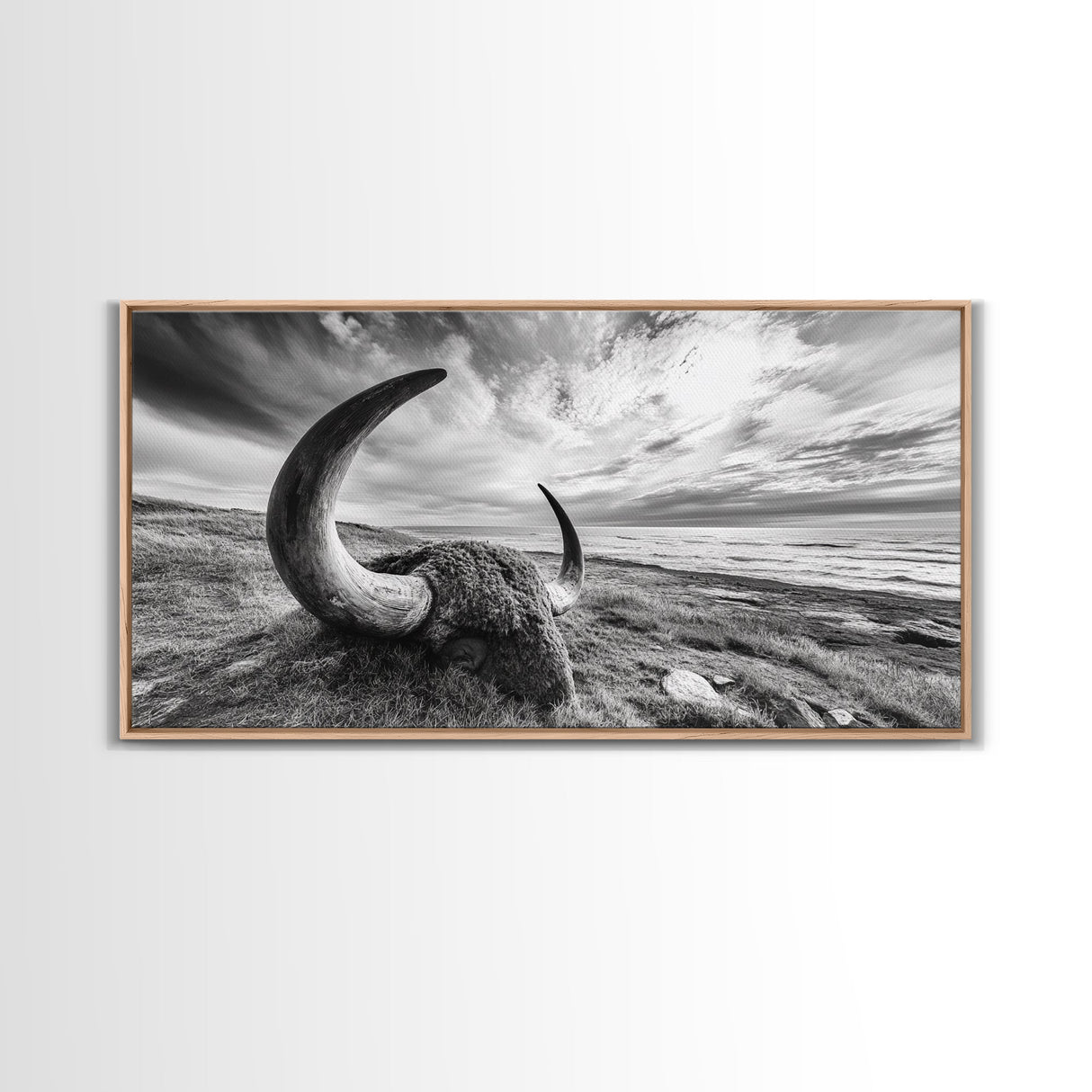 Highland Bull, Ocean Cliff, Coastal Wildlife, Nature Scene, Framed Canvas Print, Rustic Wall Decor, Farmhouse Wall Art, Cabin Aesthetic
