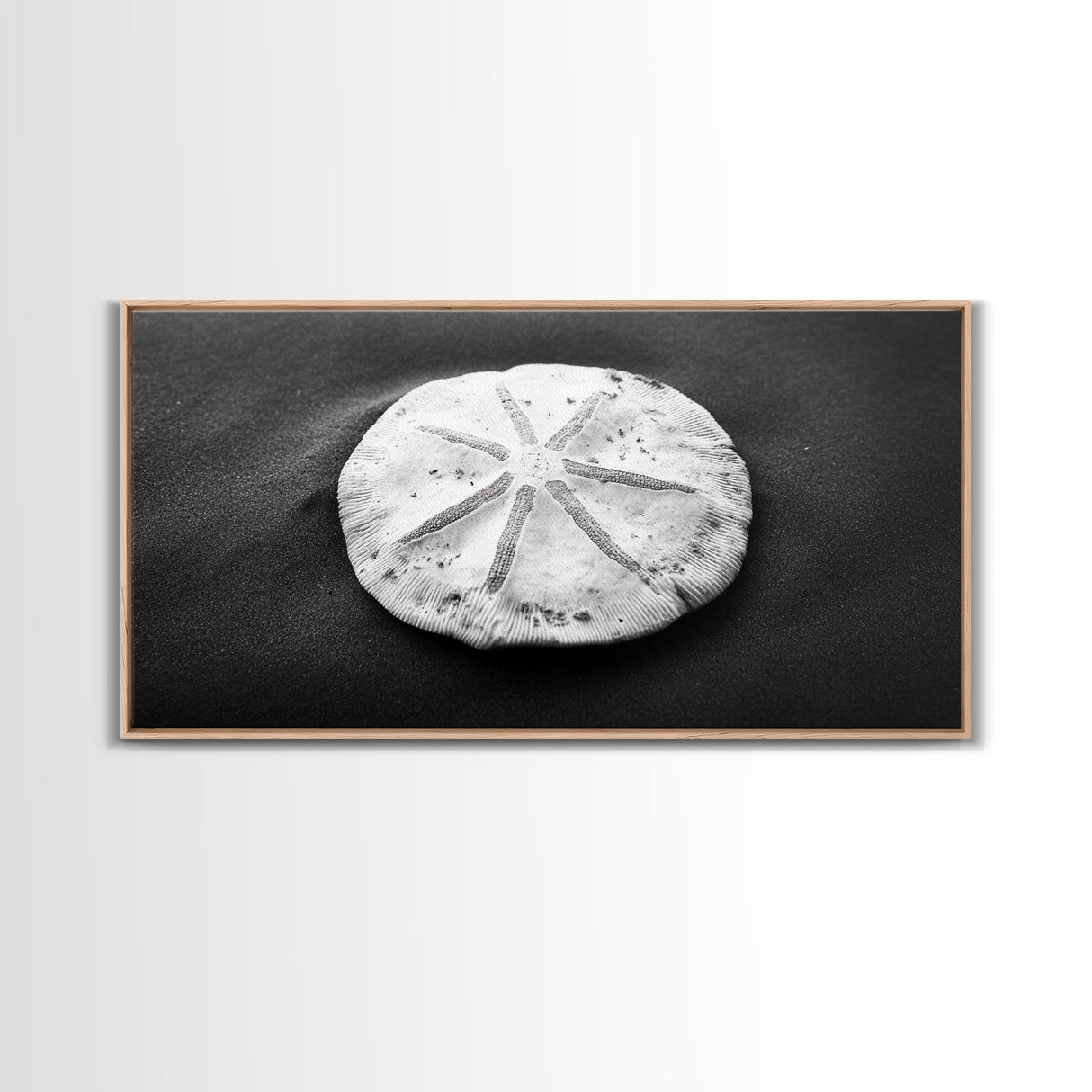 Sand Dollar, Beach Detail, Minimalist Sea, Calm Nature, Framed Canvas Print, Bathroom Wall Art, Coastal Boho Decor, Ocean Zen Style