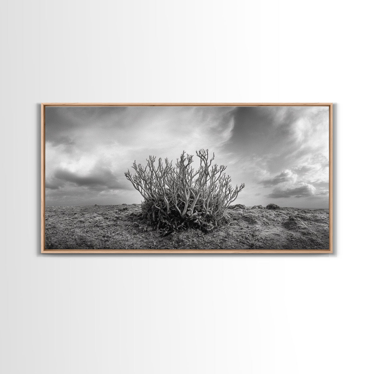 Desert Coral Plant, Dry Earth Botanical, Surreal Nature Texture, Minimal Wild Scene, Canvas Print, Office Wall Art, Earthy Decor