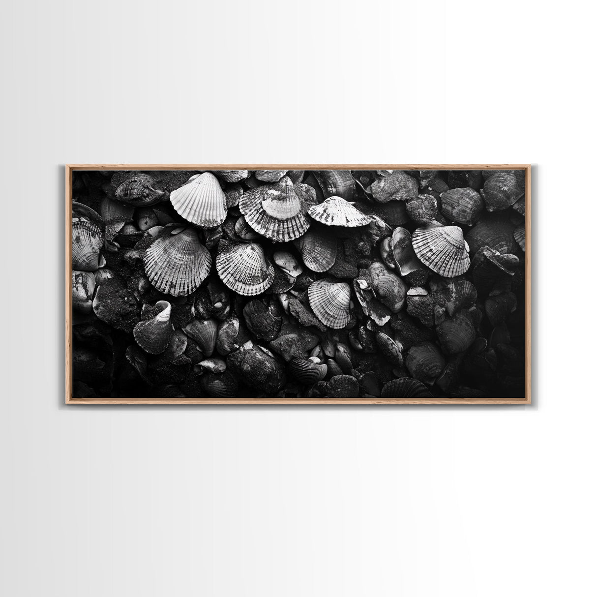 Seashell Close-Up, Ocean Texture Art, Nautical Beach Shells, Earthy Tones Decor, Framed Canvas Print, Bathroom Wall Art, Coastal Style