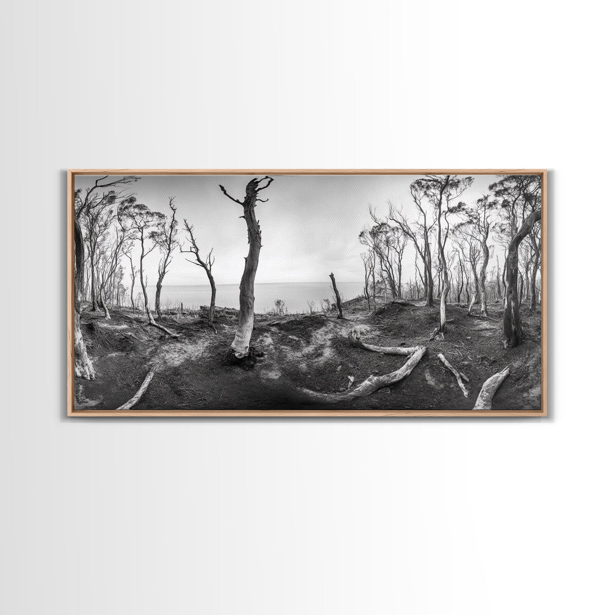 Burnt Forest, Moody Trees, Coastal Landscape, Nature Scene, Framed Canvas Print, Rustic Wall Art, Boho Decor, Fall Home Aesthetic
