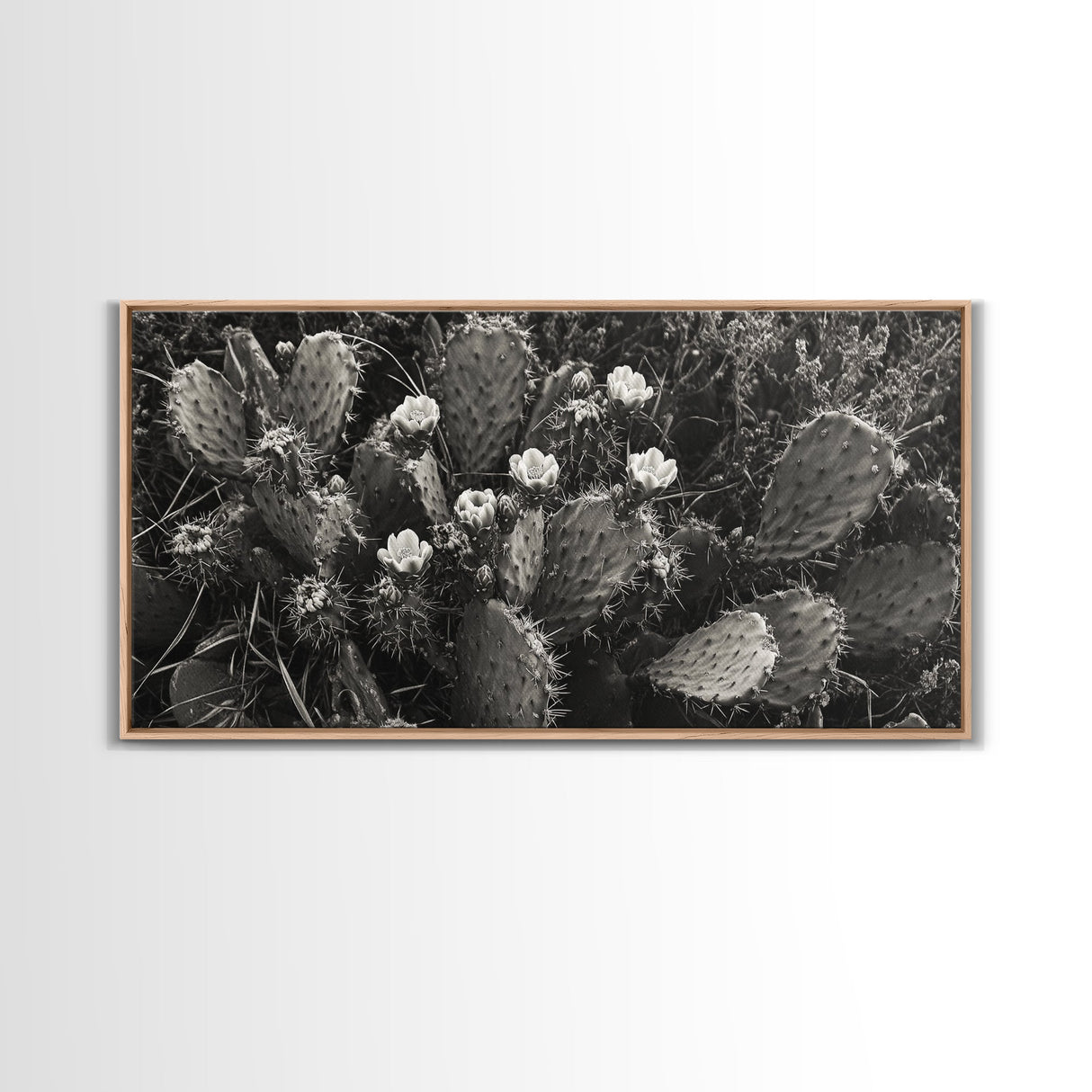 Cactus Blooms, Desert Flowers, Prickly Pear, Nature Closeup, Framed Canvas Print, Southwestern Art, Kitchen Wall Art, Boho Style