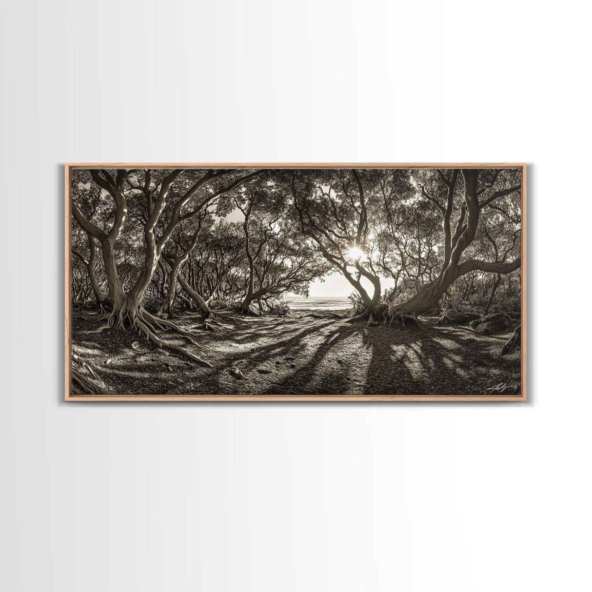 Enchanted Forest Light, Tree Shadows, Nature Landscape, Framed Canvas Print, Rustic Wall Art, Entryway Woodland Decor, Boho Forest Print