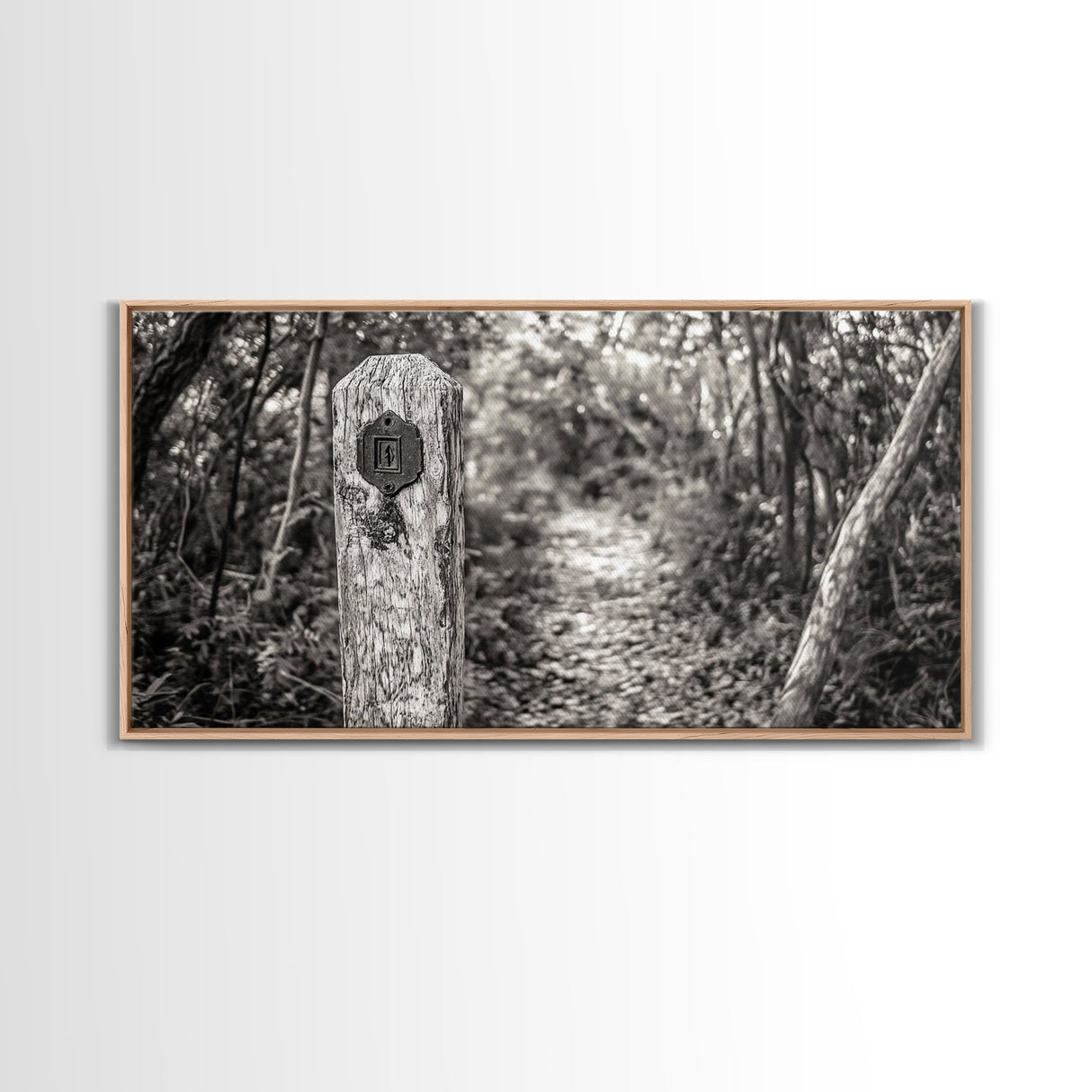 Trail Marker, Wooded Path, Rustic Forest, Natural Journey, Framed Canvas Print, farmhouse decor, nature lover gift, Autumn entryway art