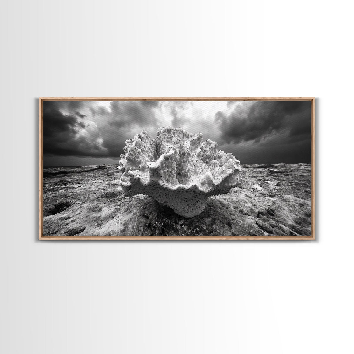 Coral Texture, Ocean Storm, Dramatic Sky, Sea Fossil, Framed Canvas Print, Coastal Nature Art, Fall Entryway Wall Decor, Cabin Wall Art