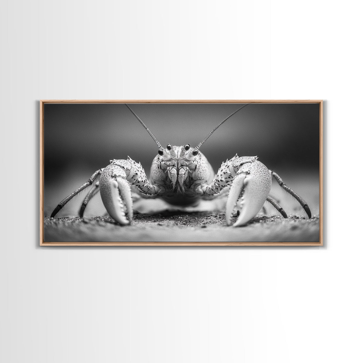 Hermit Crab, Close-Up, Ocean Creature, Monochrome Nature, Framed Canvas Print, Marine Wall Decor, Coastal Kitchen Wall Art, Entryway Accent