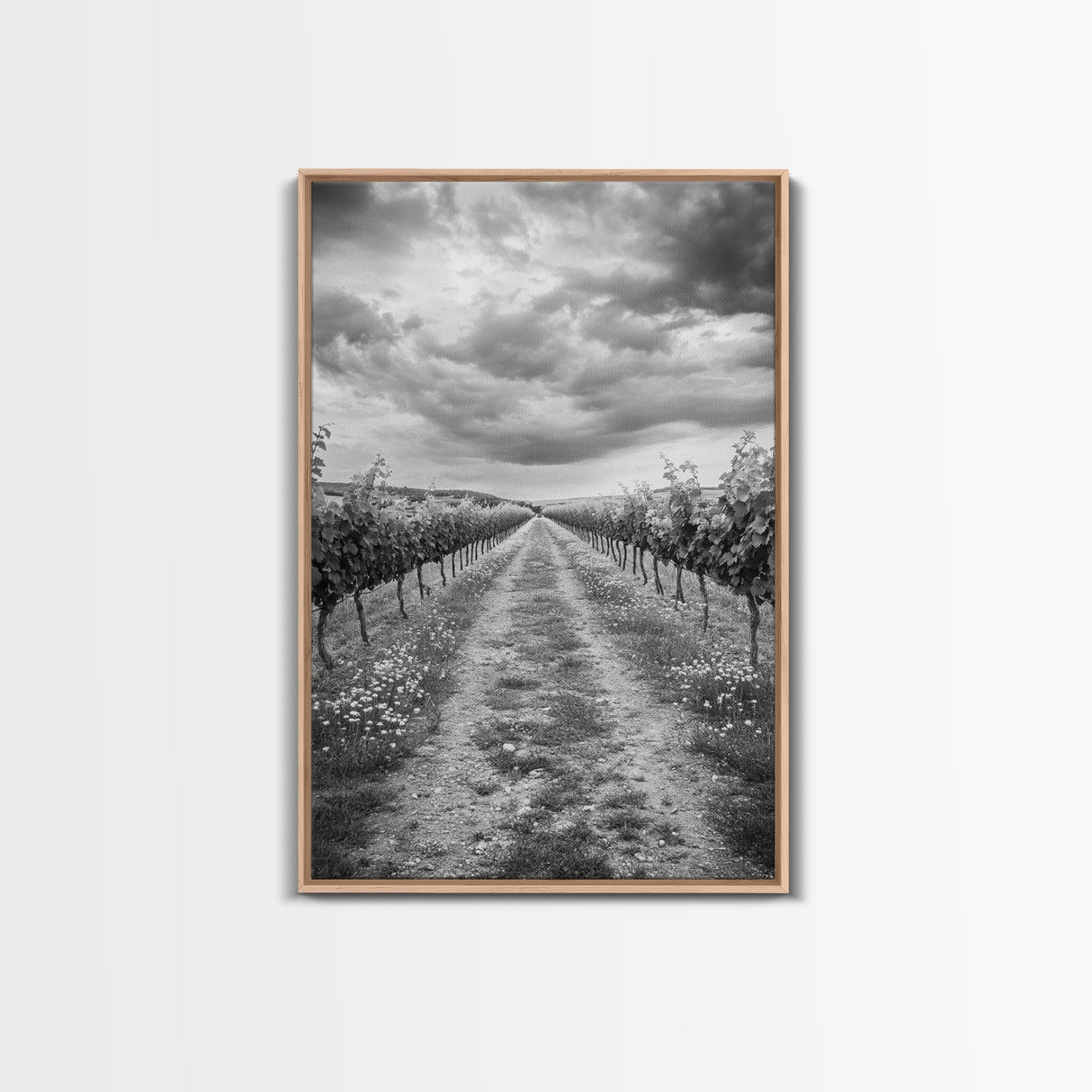 Vineyard Rows, Cloudy Skies, Countryside Path, Canvas Print, Farmhouse Wall Art, Kitchen or Dining Decor, Rustic Landscape Photo