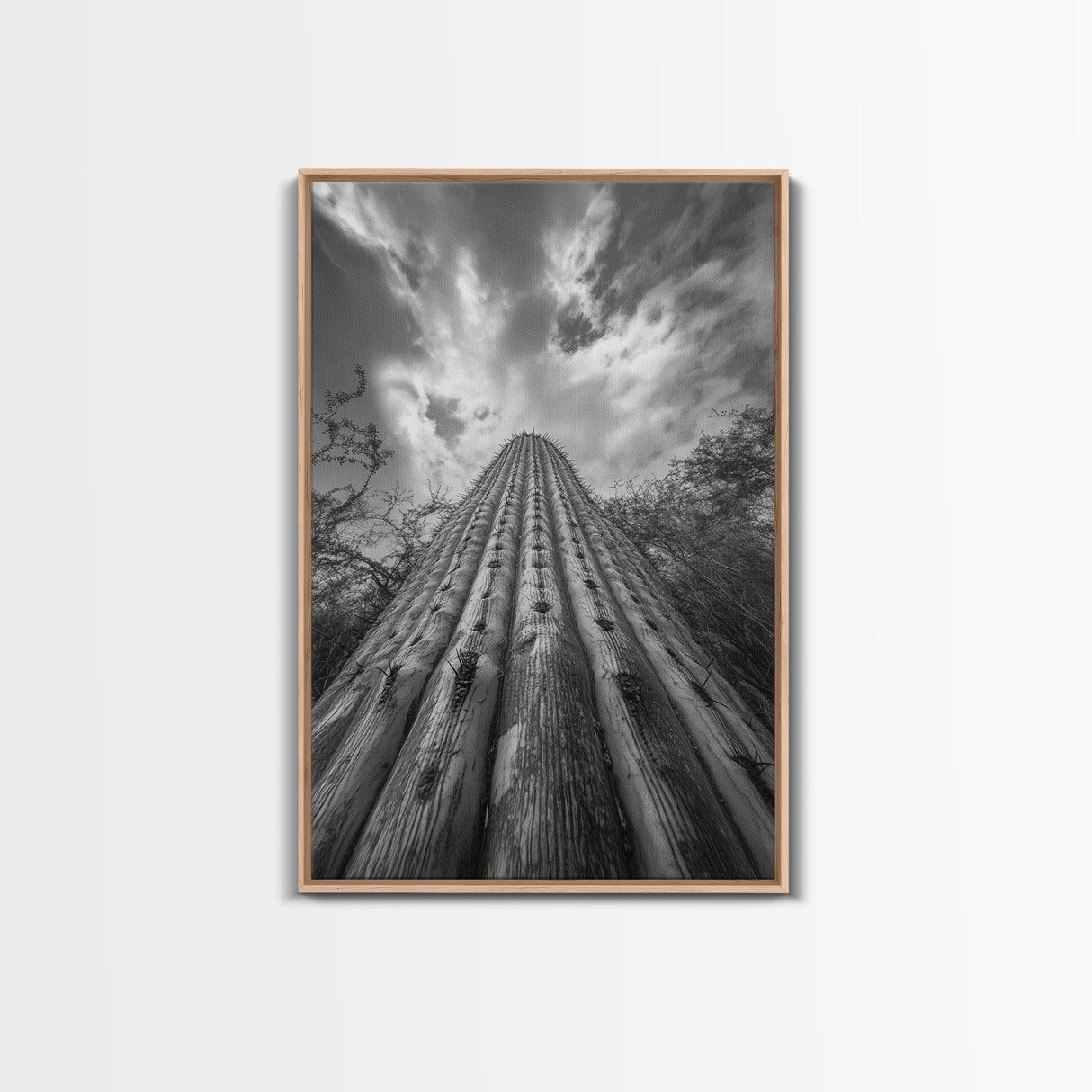 Tall Cactus, Desert Skies, Cactus Wall Art, Framed Canvas Print, Boho Desert Decor, Minimalist Nature Print, Bedroom Southwest Style
