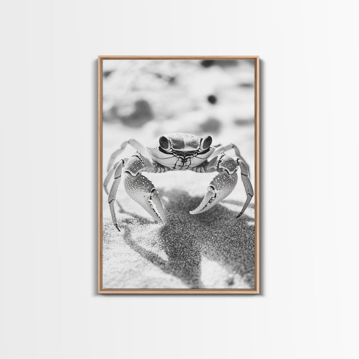 Sand Crab, Beach Macro, Ocean Critter Art, Framed Canvas Print, Coastal Bathroom Decor, Beach House Wall Art, Nature Close-Up