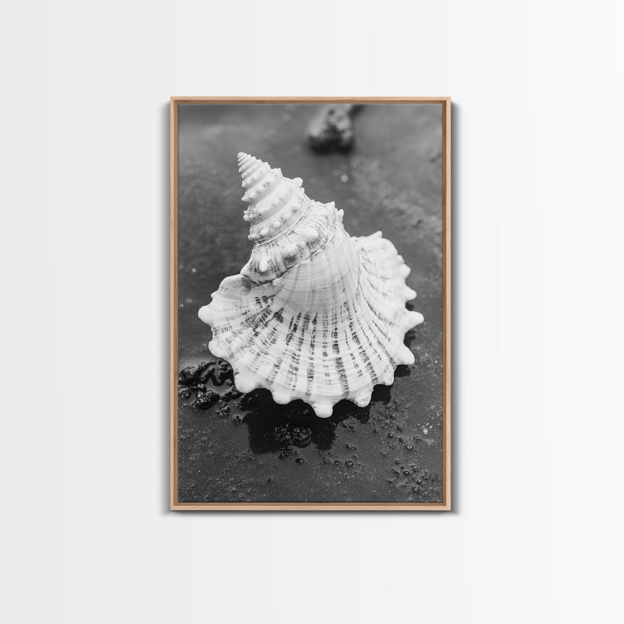 Spiral Shell, Beach Texture, Nature Closeup, Sea Whisper Framed Canvas Print, minimalist beach wall art, boho coastal kitchen decor