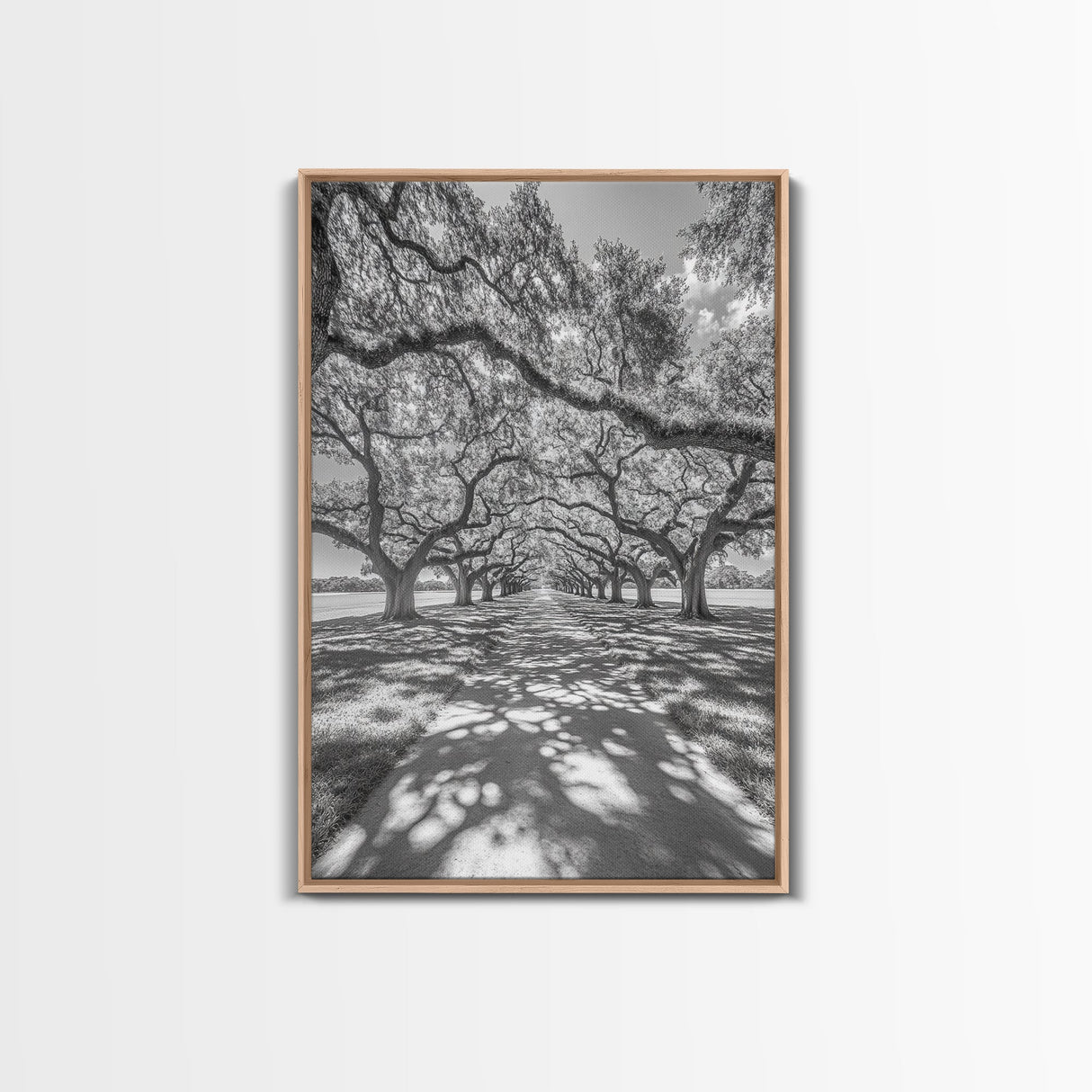 Oak Tree Tunnel, Southern Charm, Shaded Pathway, Timeless Trees Framed Canvas Print, farmhouse wall decor, hallway landscape art