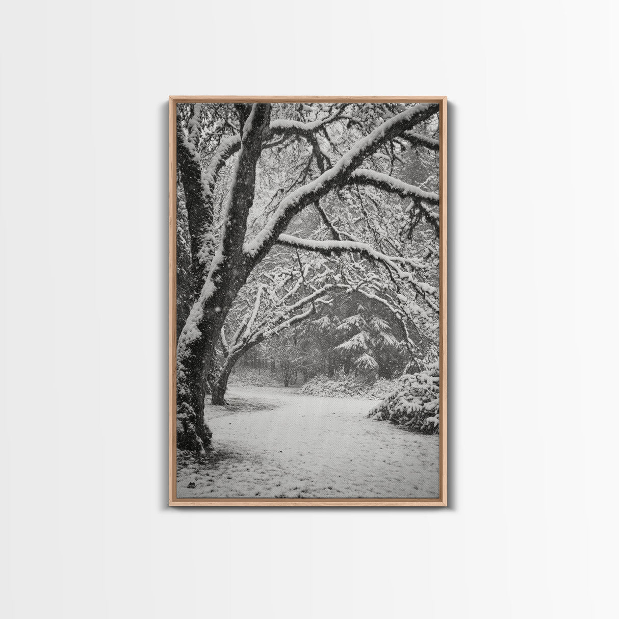 Snowfall Trees, Winter Forest, Nature Pathway, Canvas Print, Holiday Season Decor, Cozy Living Room or Cabin Wall Art