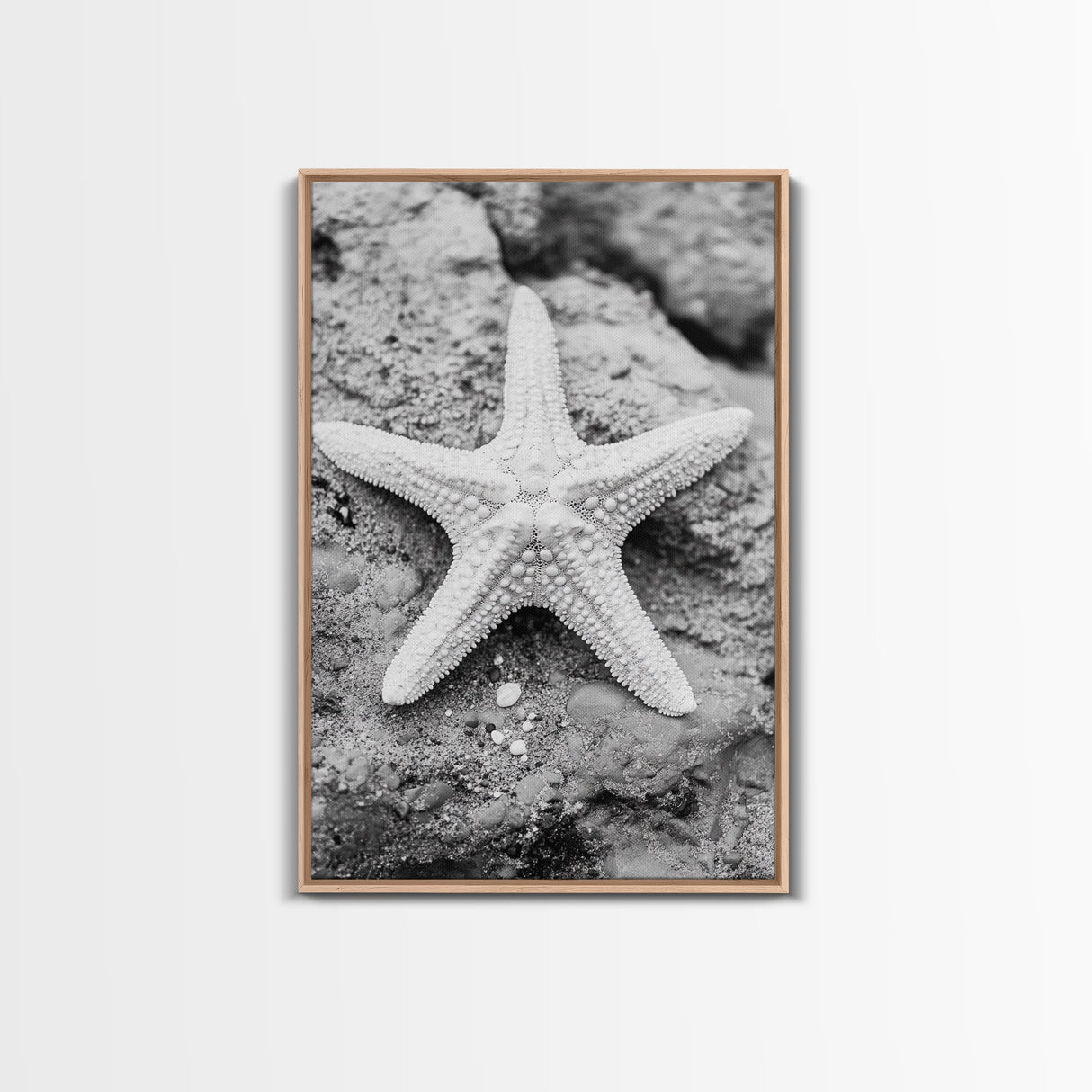 Starfish Closeup, Coastal Shell, Beach Texture, Framed Canvas Print, Bathroom or Ocean Nursery Decor, Minimal Beach Art
