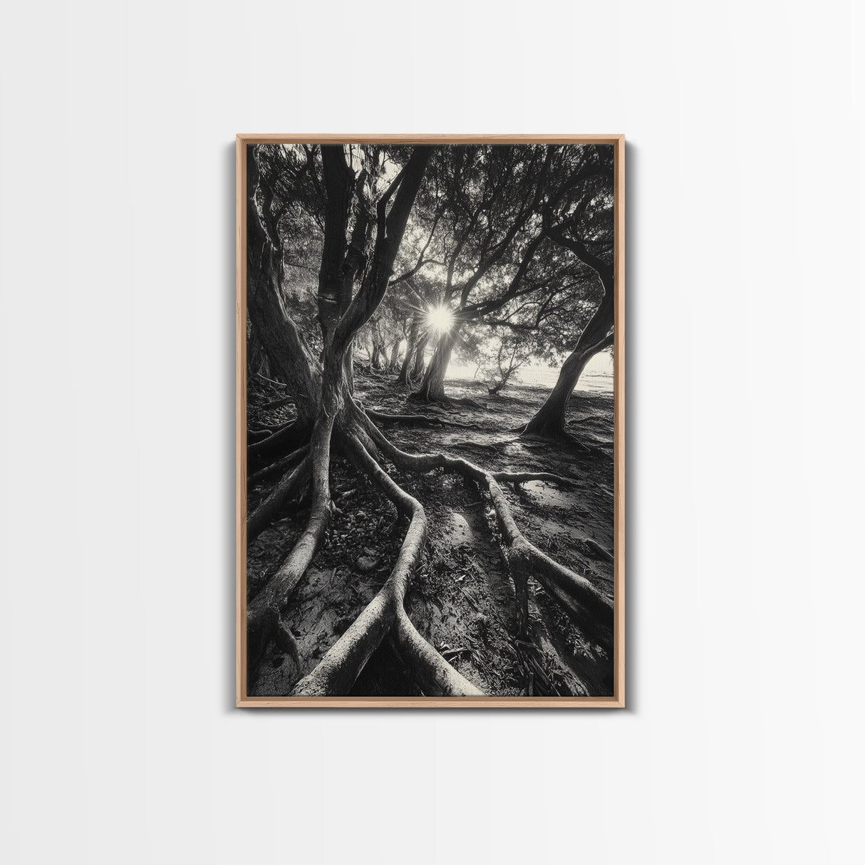 Sunlit Forest Roots, Tree Shadows, Golden Light, Framed Canvas Print, Boho Nature Wall Art, Bedroom Wall Decor, Earthy Tones