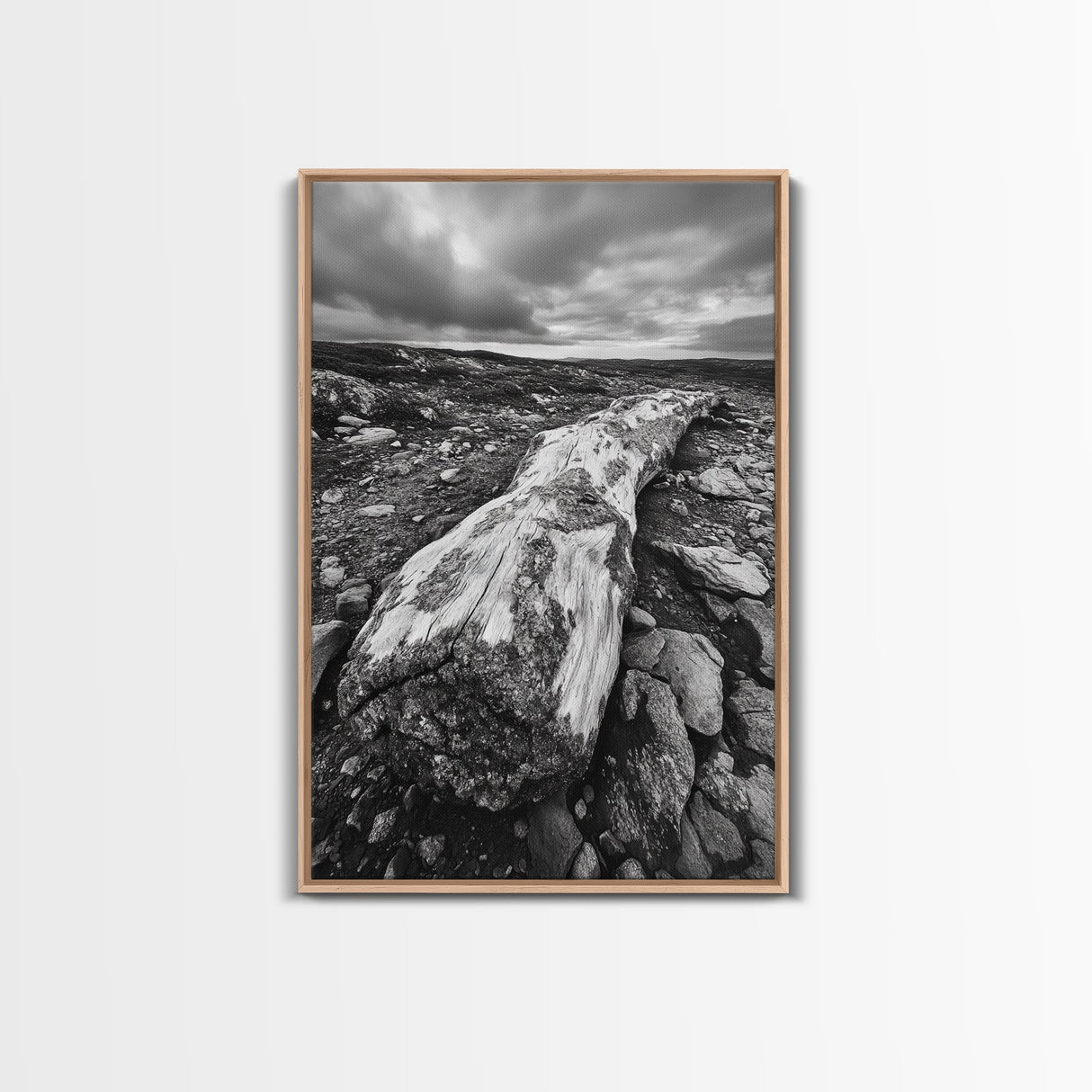 Rocky Terrain Driftwood, Weathered Wood Scene, Outdoor Adventure Art, Modern Rustic Decor, Framed Canvas Print, Earthy Tones Photography