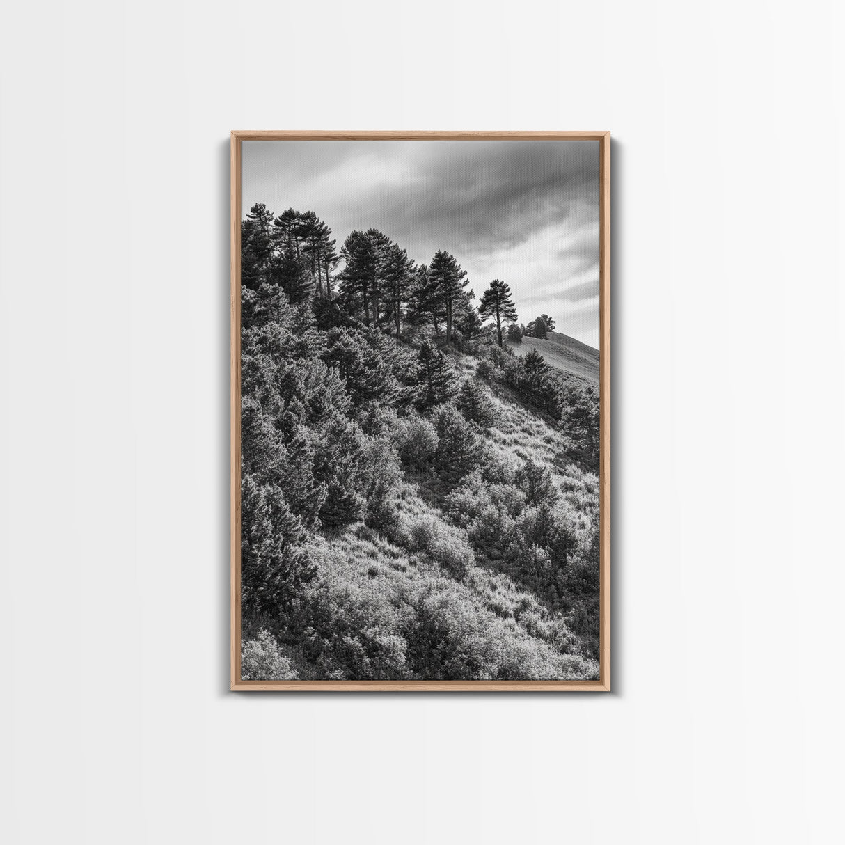 Hillside Forest, Peaceful Pines, Mountain Light, Framed Canvas Print, Nature Wall Art, Cabin Decor, Woodland Landscape Scene