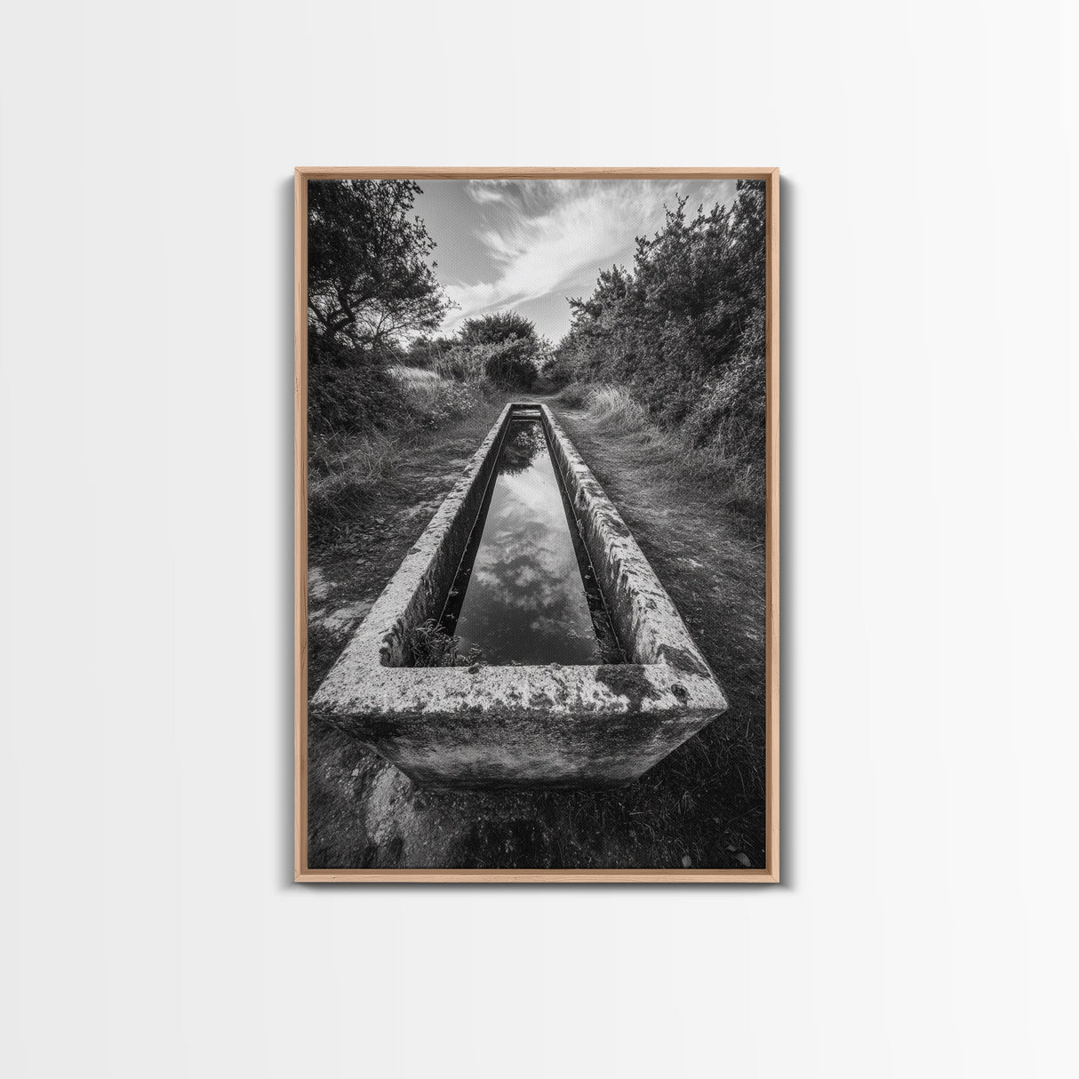 Forest Path, Reflection Pool, Nature Trail Art, Canvas Print, Tranquil Landscape, Boho Wall Decor, Entryway or Hallway Art