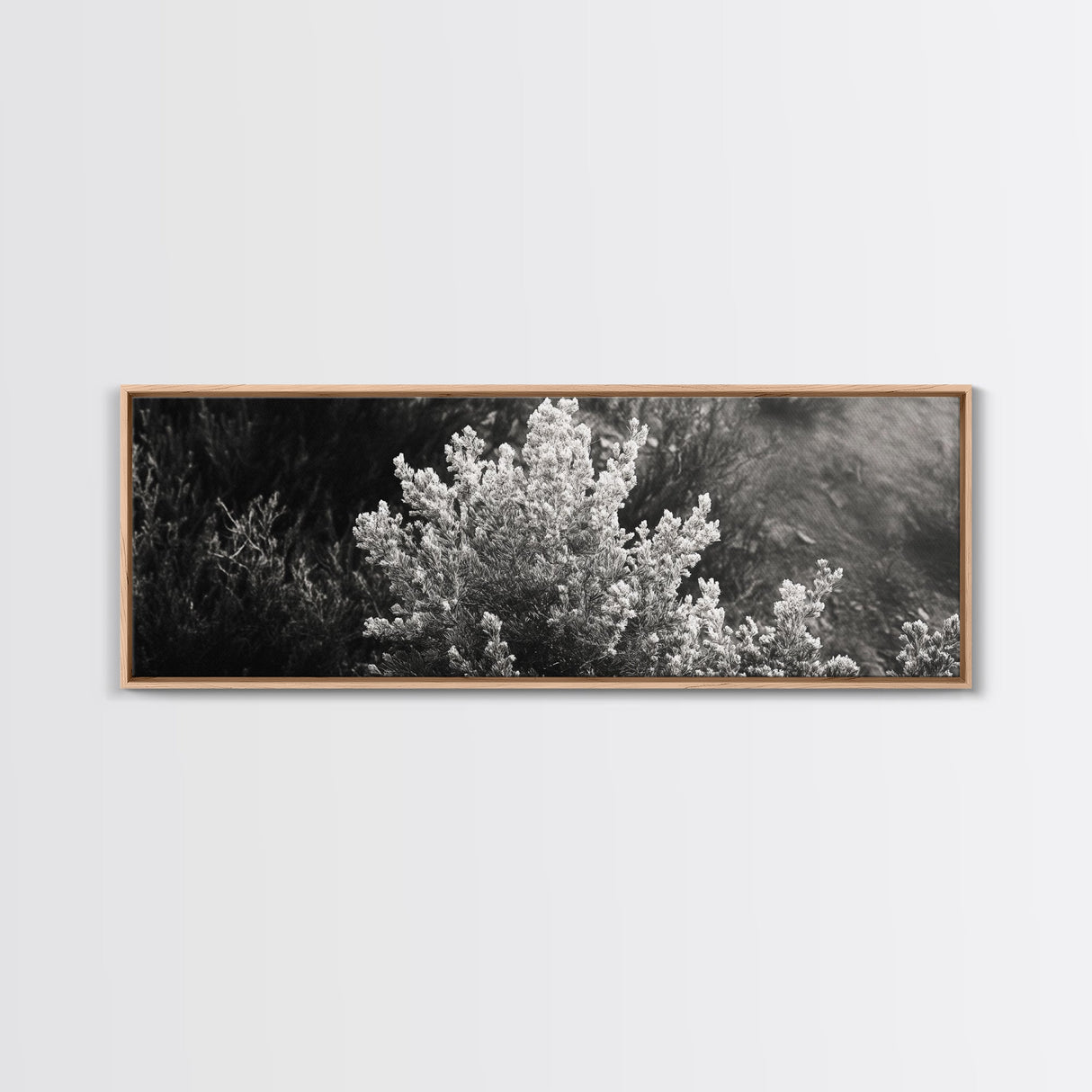 Frosted Bush, Winter Plant, Nature Closeup, Framed Canvas Print, Botanical Wall Art, Neutral Bedroom Decor, Rustic Autumn Style