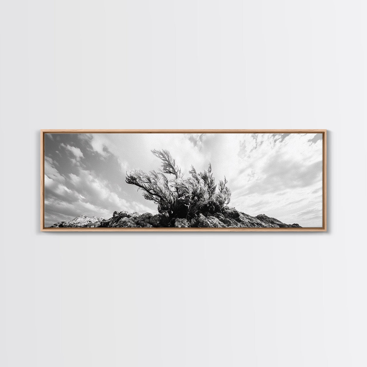 Windswept Kelp Rock, Ocean Botanical, Nature Inspired Canvas Print, Boho Style Art, Bathroom Wall Art, Sea Life Photography