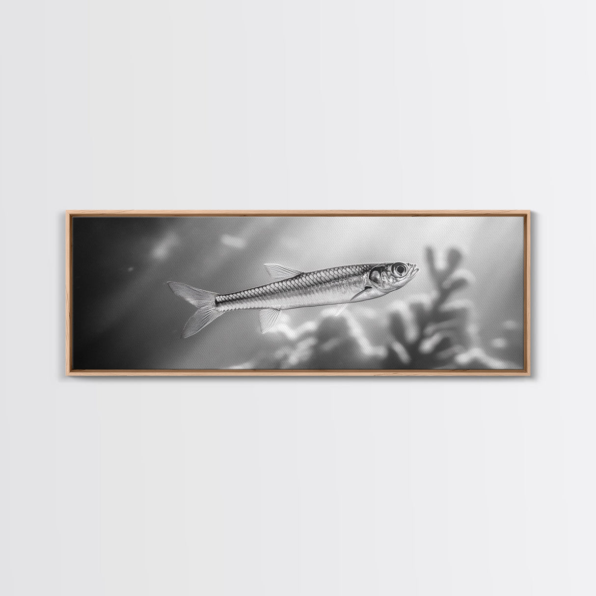 Silver Fish Closeup, Underwater Life, Marine Wildlife Art, Black and White Framed Canvas Print, Coastal Bathroom or Den Wall Art