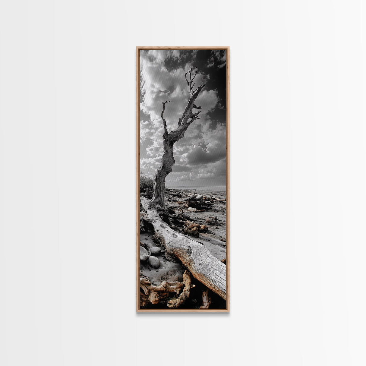 Weathered Tree, Coastal Roots, Dramatic Sky, Natural Form – Canvas Print, Living Room Wall Art, Monochrome Photography, Driftwood Decor