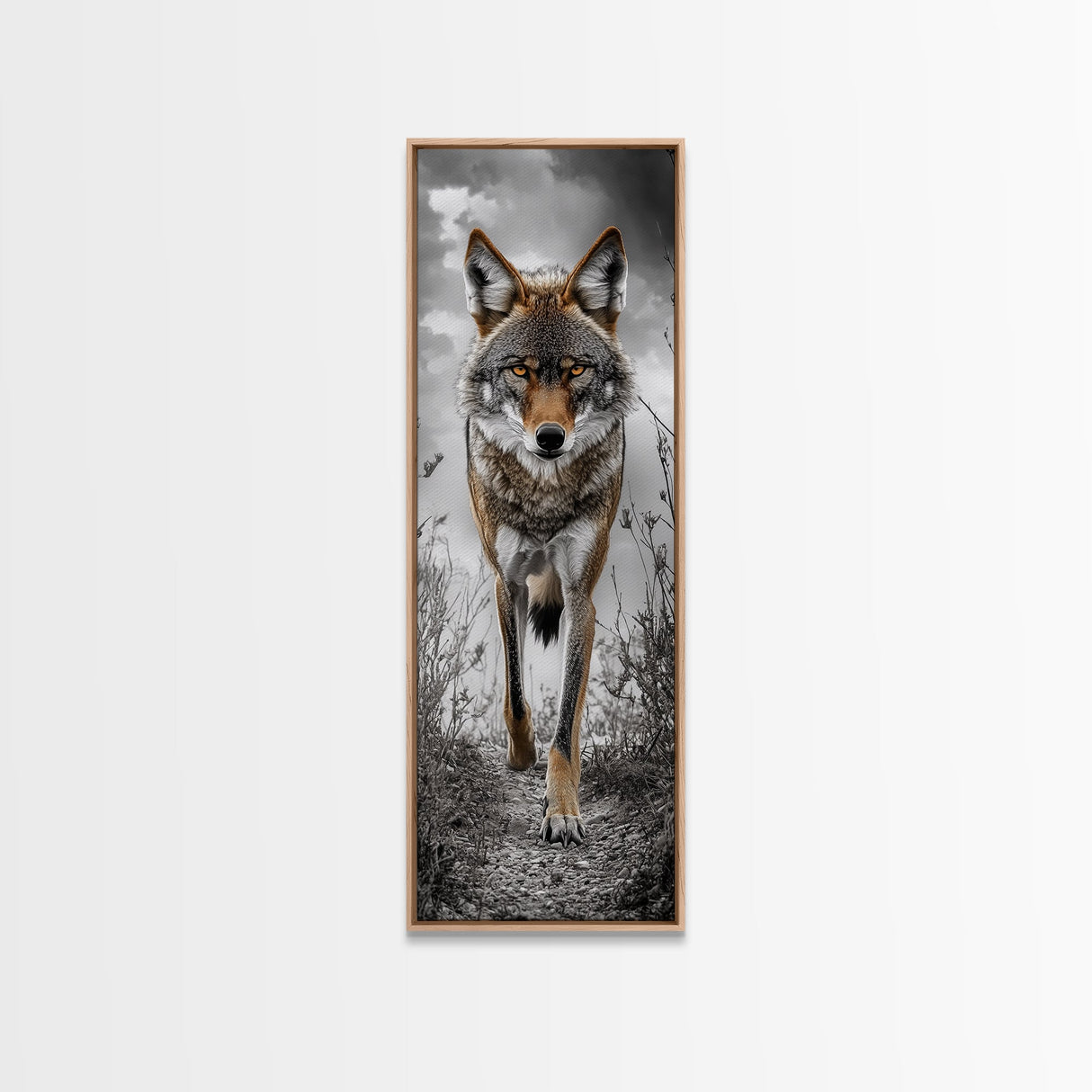 Intense Coyote Stare Framed Canvas Print | Wildlife Wall Art | Rustic Decor | Moody Art | Southwest Wall Art | Above Sofa Art | Gift Idea
