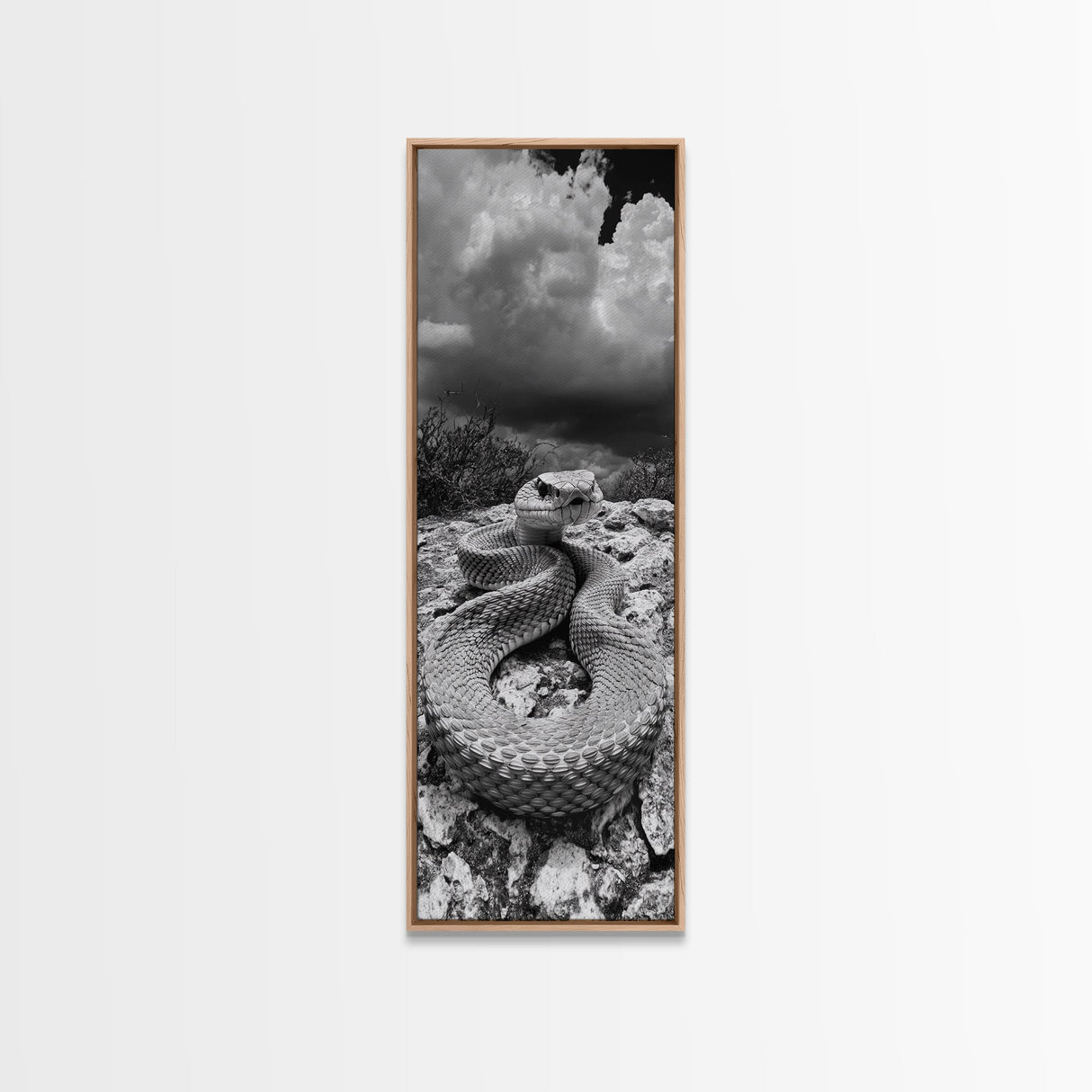 Rattlesnake Desert Art, Framed Canvas Print, southwest wall art, rustic decor, moody art, wildlife photography, cowboy aesthetic, gift idea