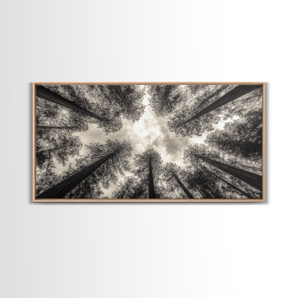 Redwood Trees, Pine Tree Art, Nature Photography, Joshua Tree Art, Extra Wide Art, Forest at Dusk Painting, Canvas Print