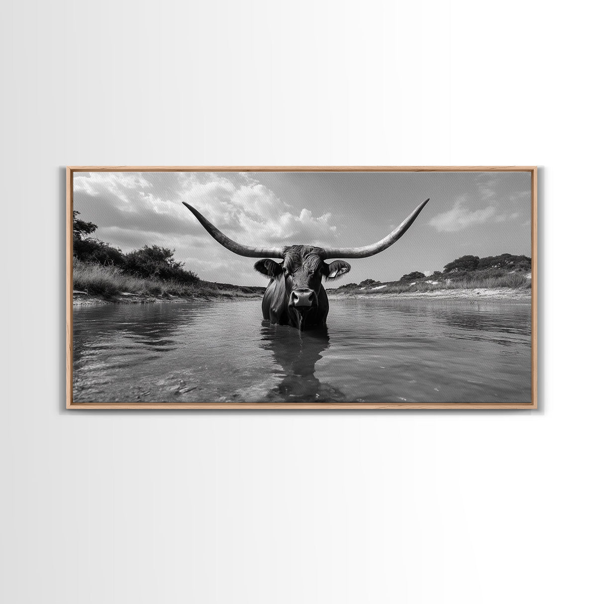 Longhorn in Water, rustic art, western decor, bull and bear art, cowboy wall art, farmhouse art, panoramic art, Framed Canvas Print