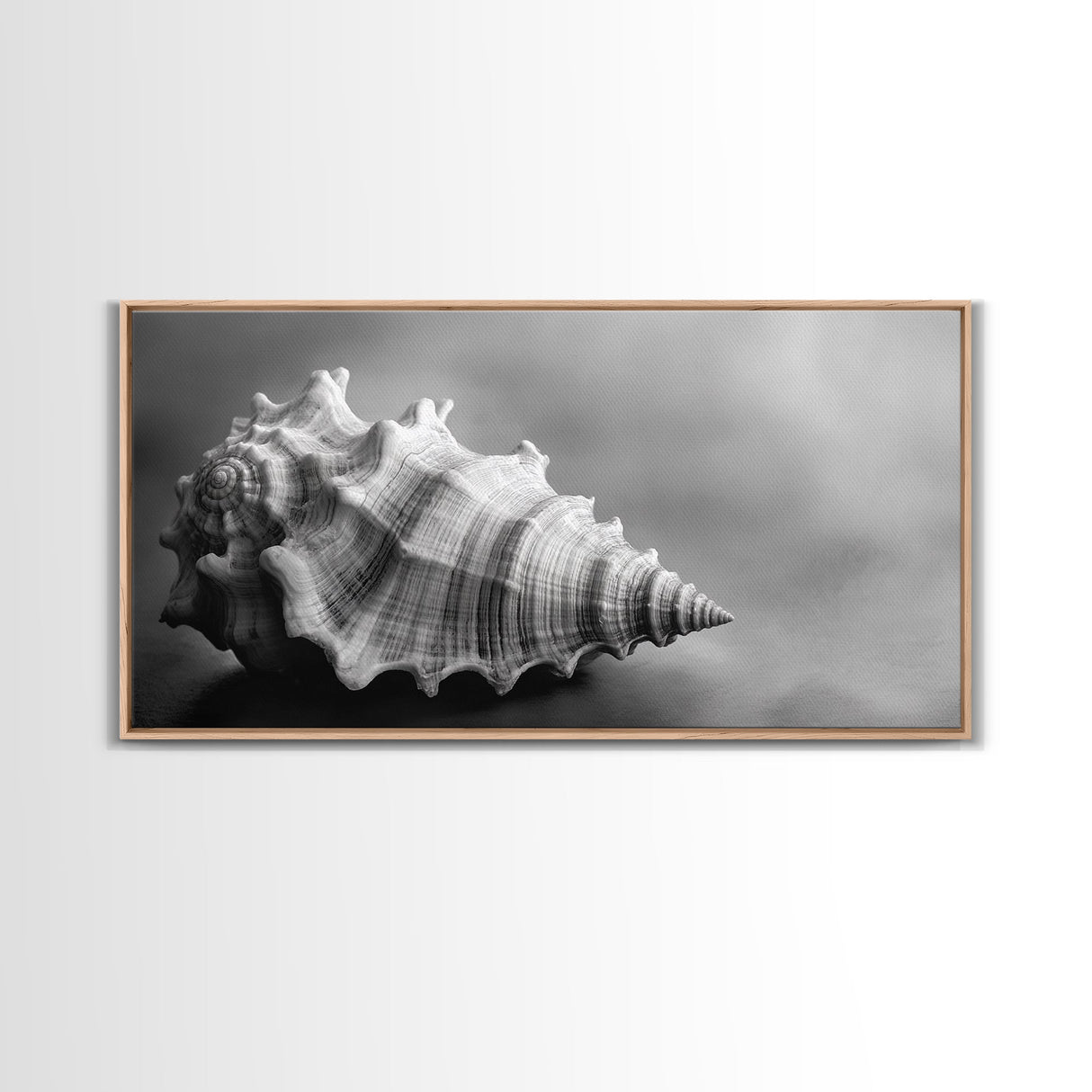 Sea Shell, Wabi Sabi Art, Coastal Decor, Minimalist Art, Nautical Wall Art, Moody Art, Extra Wide Art, Framed Canvas Print