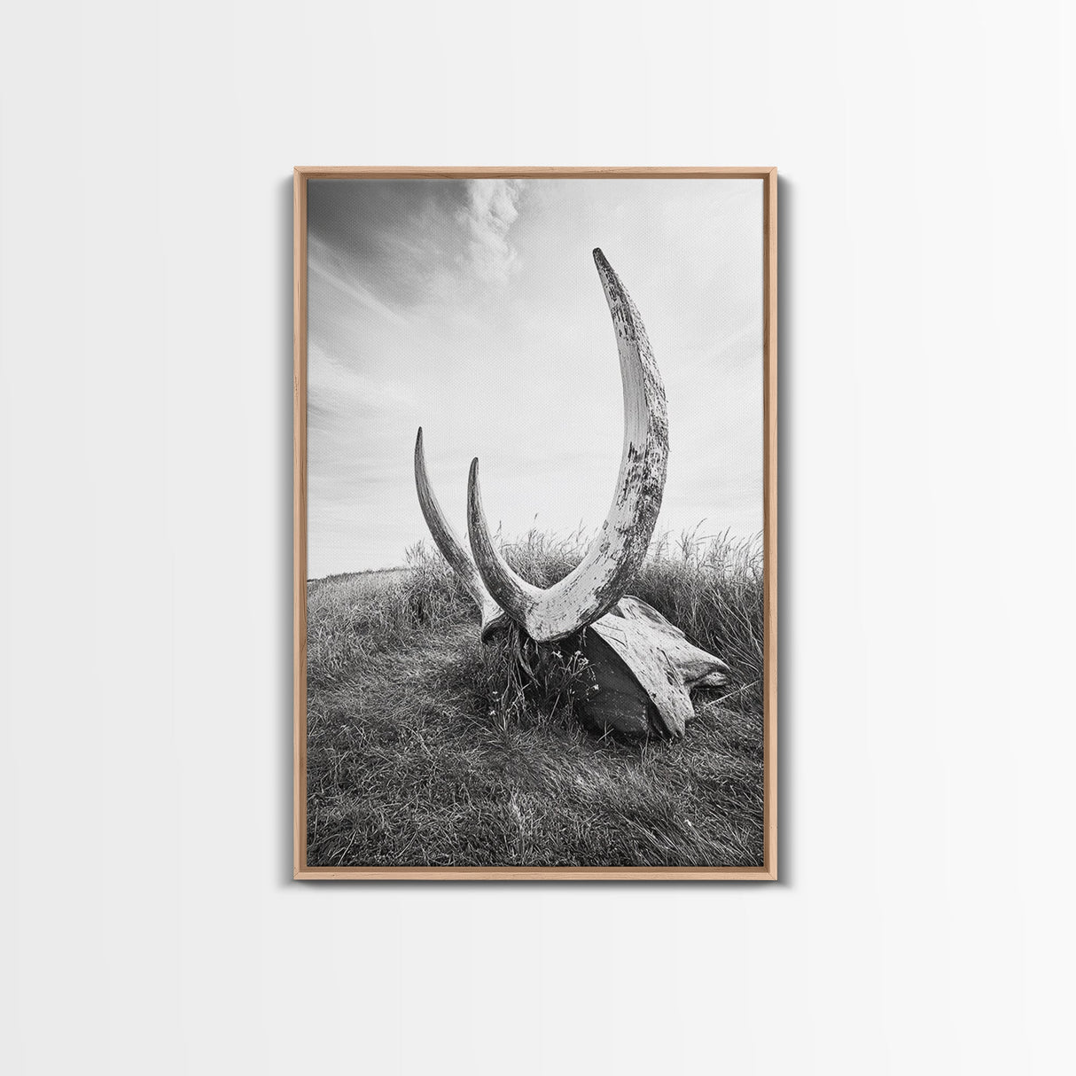 Large horns, rustic skull, bull and bear art, moody wall art, desert decor, cowboy aesthetic, framed canvas print, minimalist art