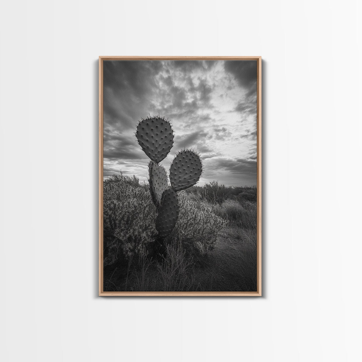 Prickly Pear, cactus art, Joshua tree art, wabi sabi art, moody art, black and white, framed canvas print, minimalist decor, rustic wall art