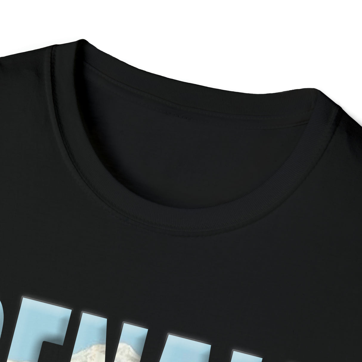 Denali Alaska T-shirt - Unisex Softstyle T-Shirt